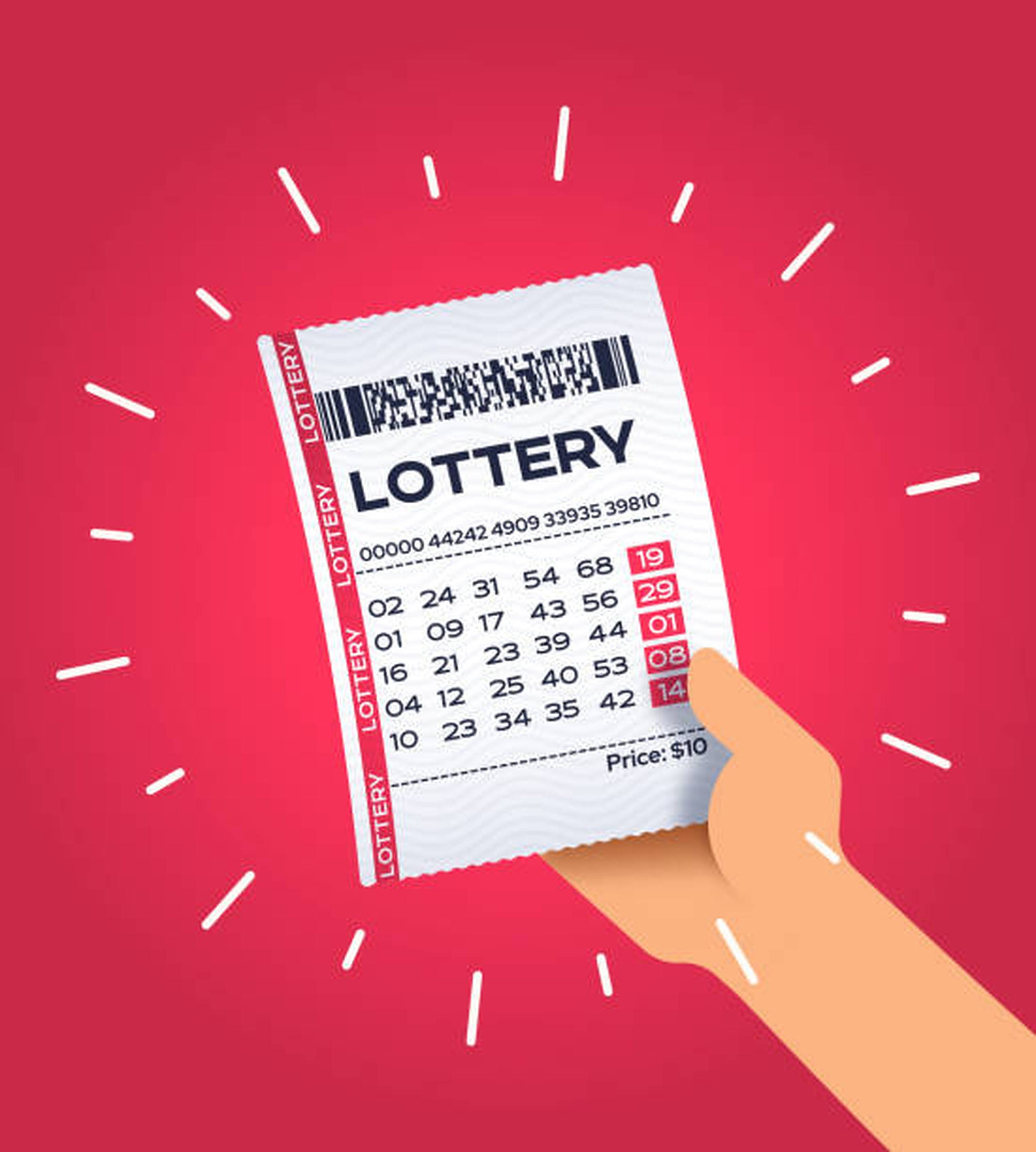 Opwindende Roe Lotto Vektor Kuns Muurpapier