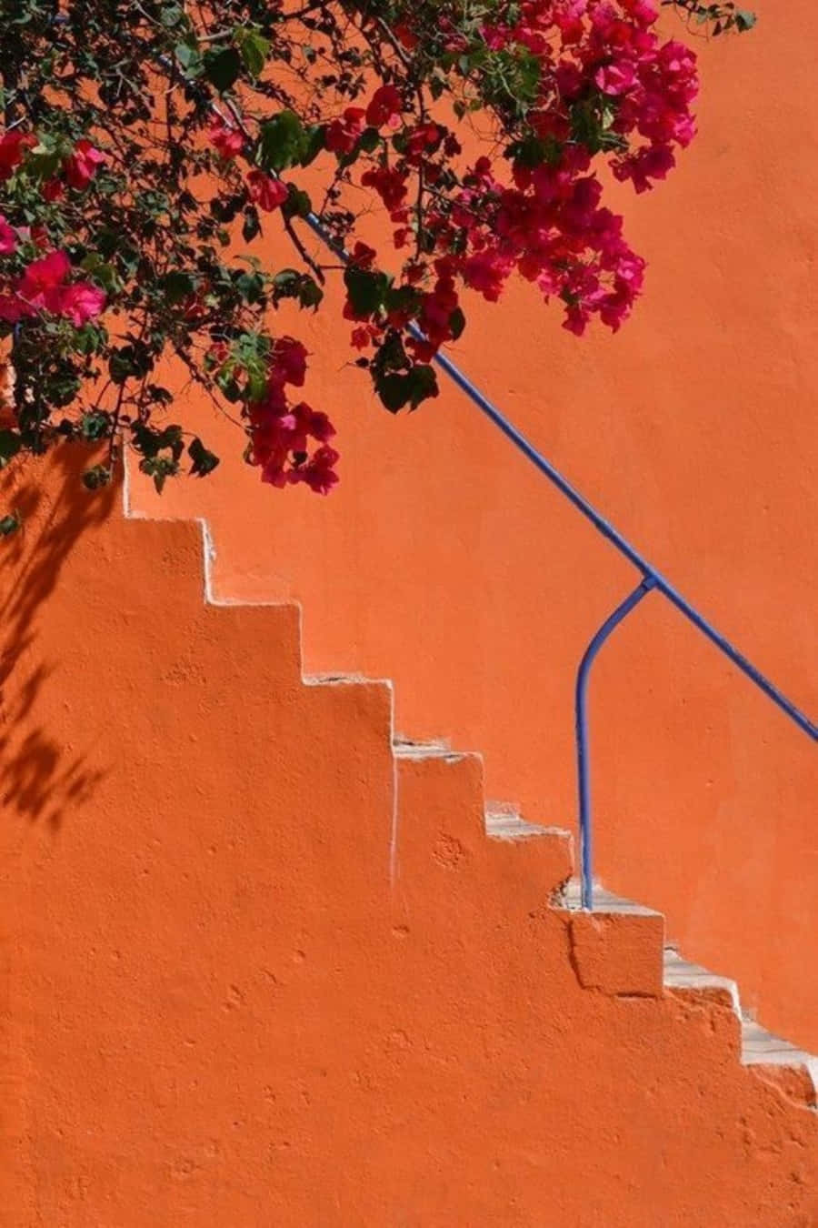 Oranje Estetiek - 'n Helder Gekleurde Wêreld Muurpapier