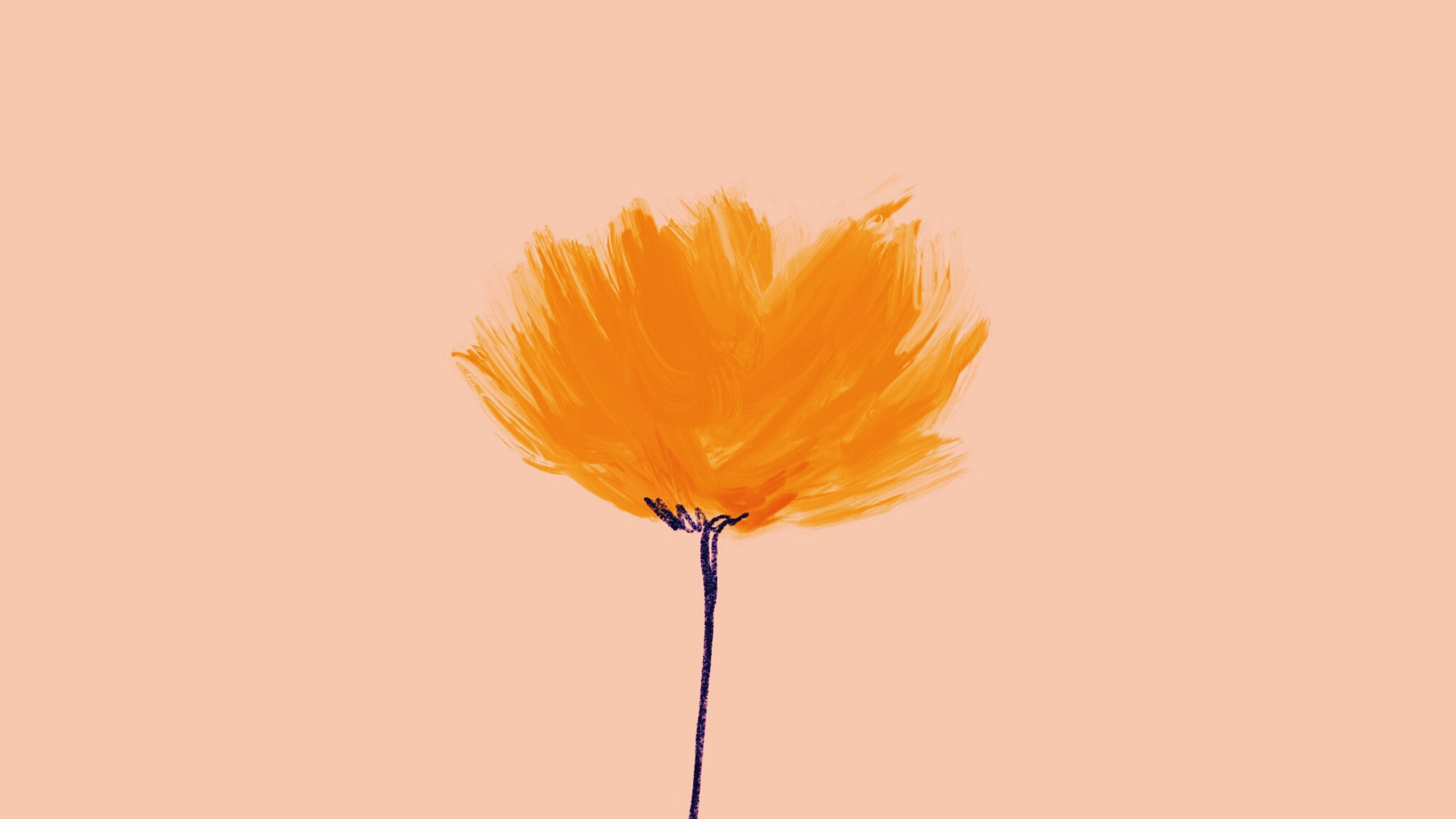 Oranje Minimalistiese Blom Rekenaar Muurpapier