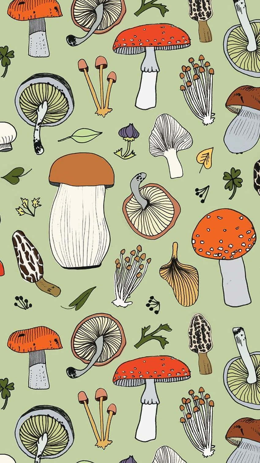 Ouderwetse Oulike Sampioen Flora Mengsel Salie Groen Muurpapier