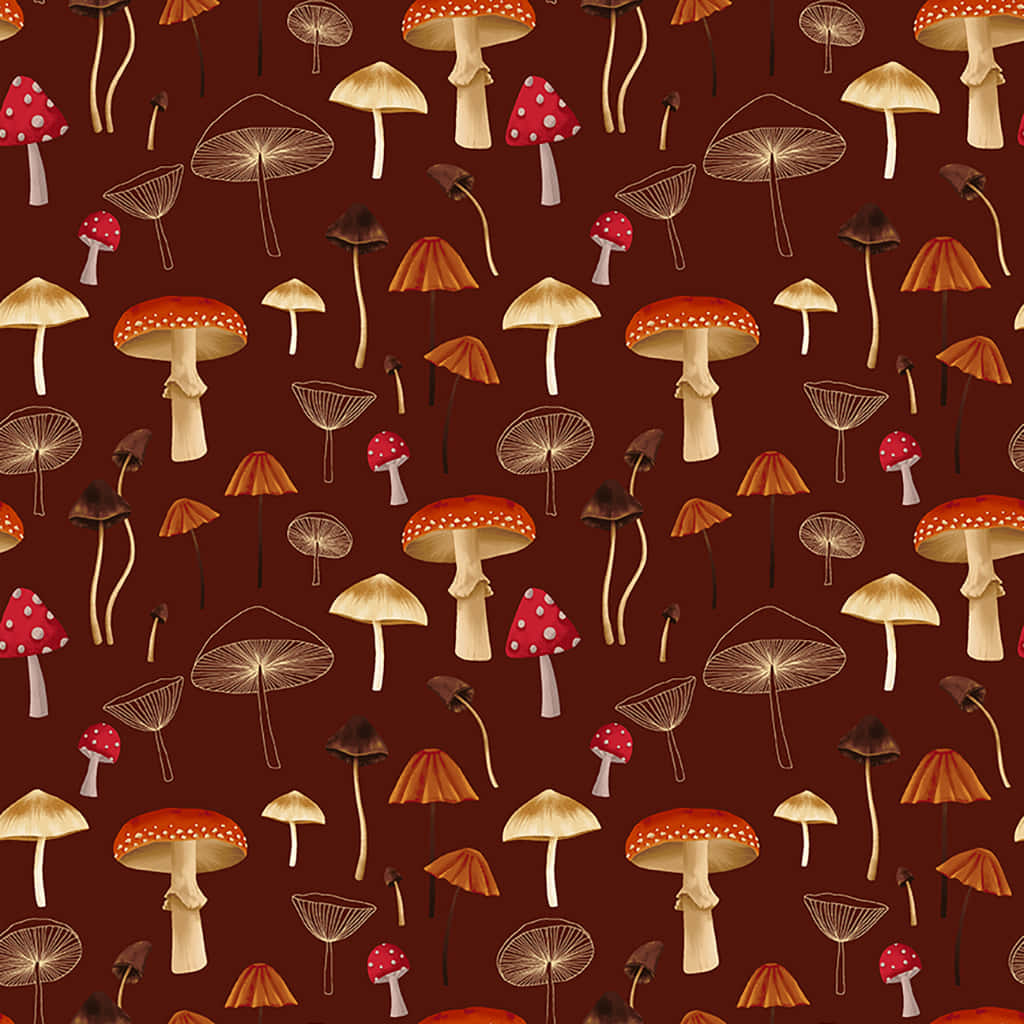 Ouderwetse Oulike Sampioen Flora Muurpapier