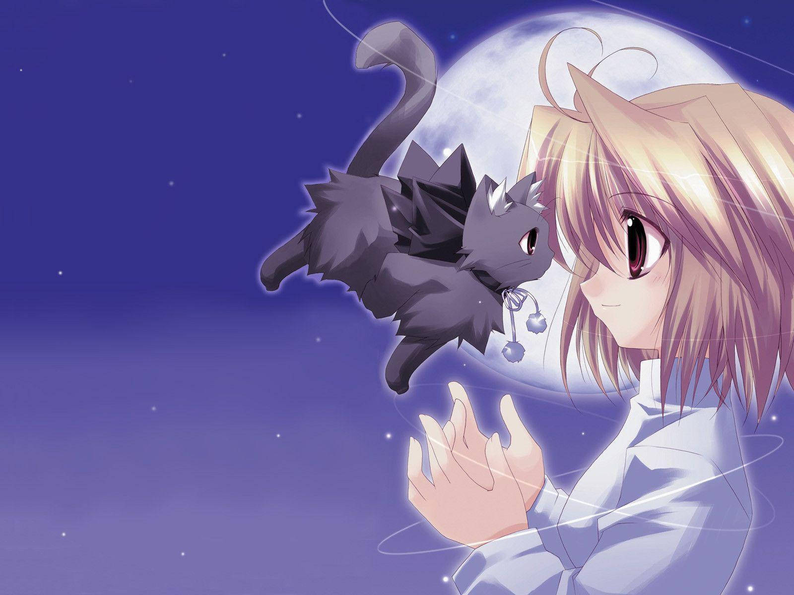 Oulike Anime Arcueid Brunestud Met Vlieënde Kat Muurpapier