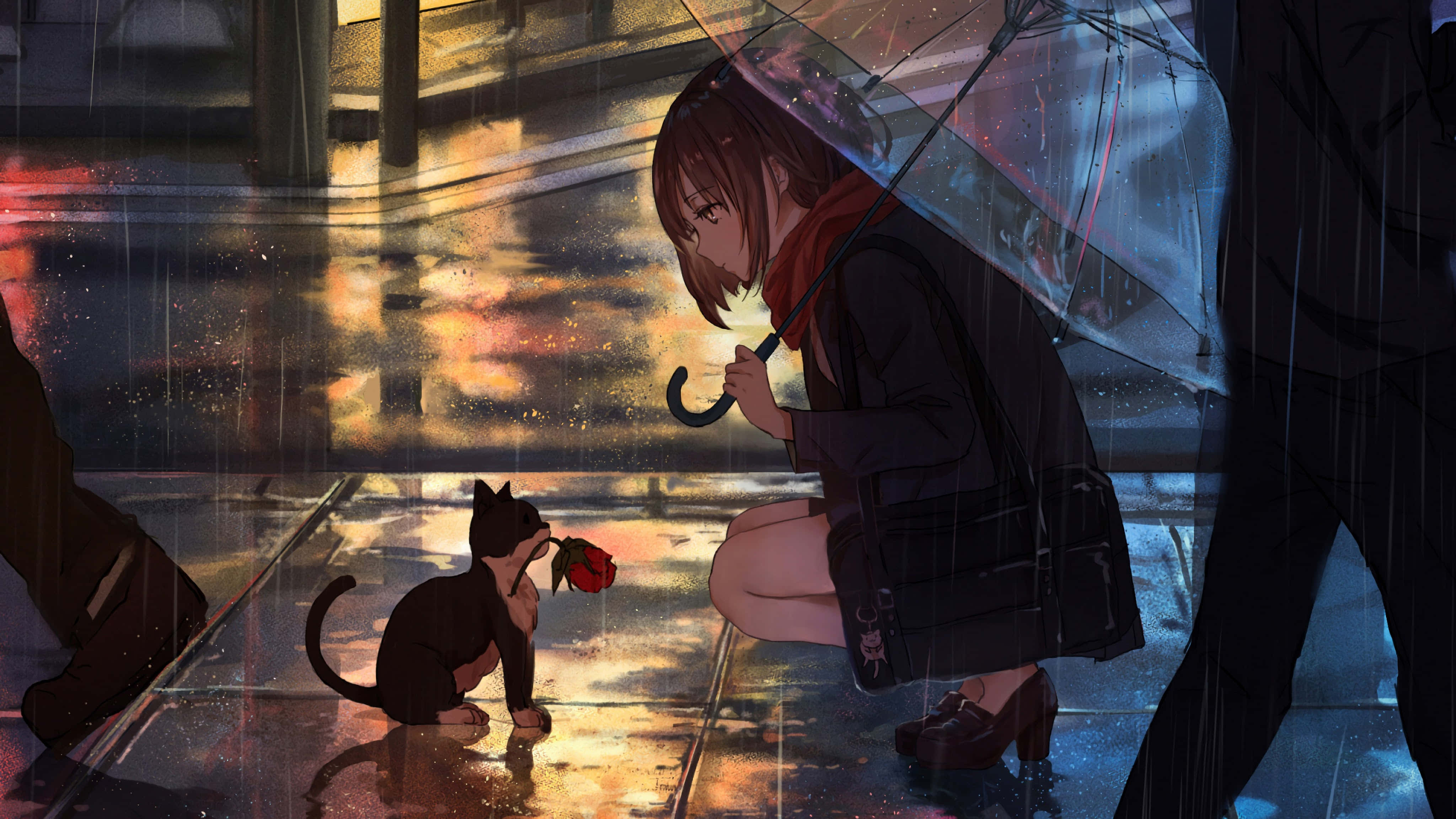 Oulike Anime Kat wat Rustig Slaap Muurpapier