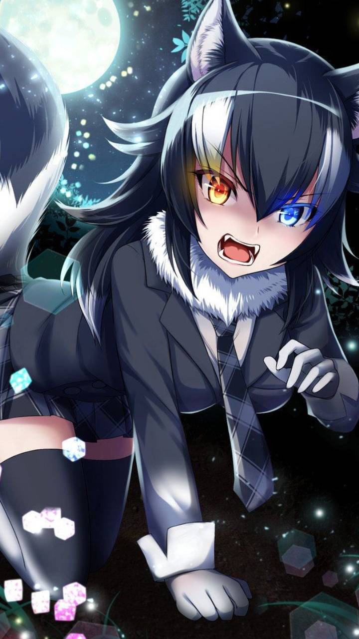 Oulike Anime PFP Wolf Meisie Muurpapier