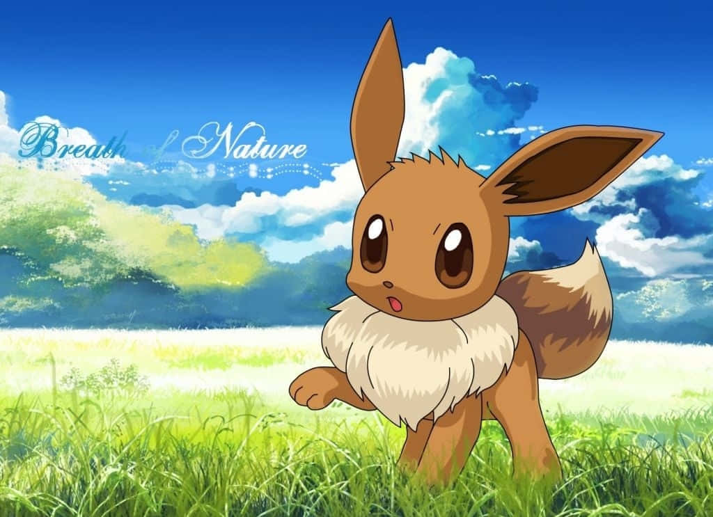 Oulike Eevee Op Grasveld Pokemon Muurpapier