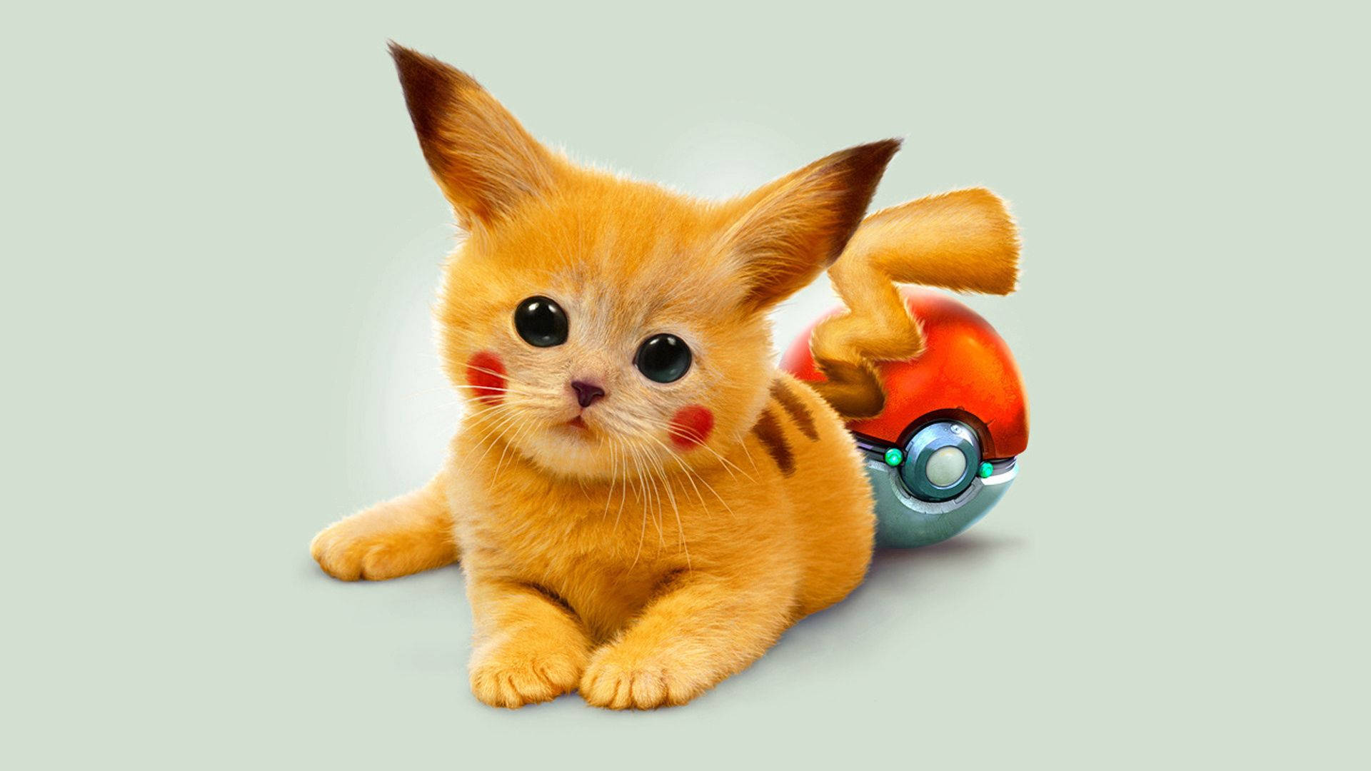 Pikachu agtergrond van 'n kat geredigeer as Pikachu met Pikachu sterte en gesig.