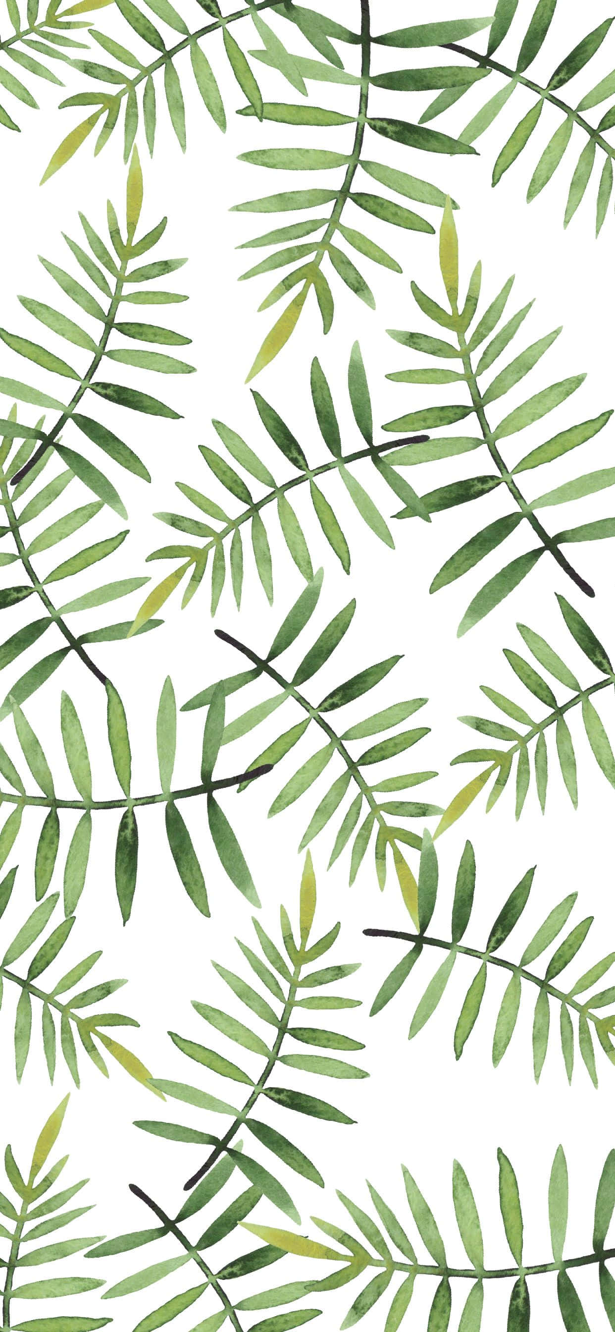 Oulike Groen Palmvaringblare Muurpapier