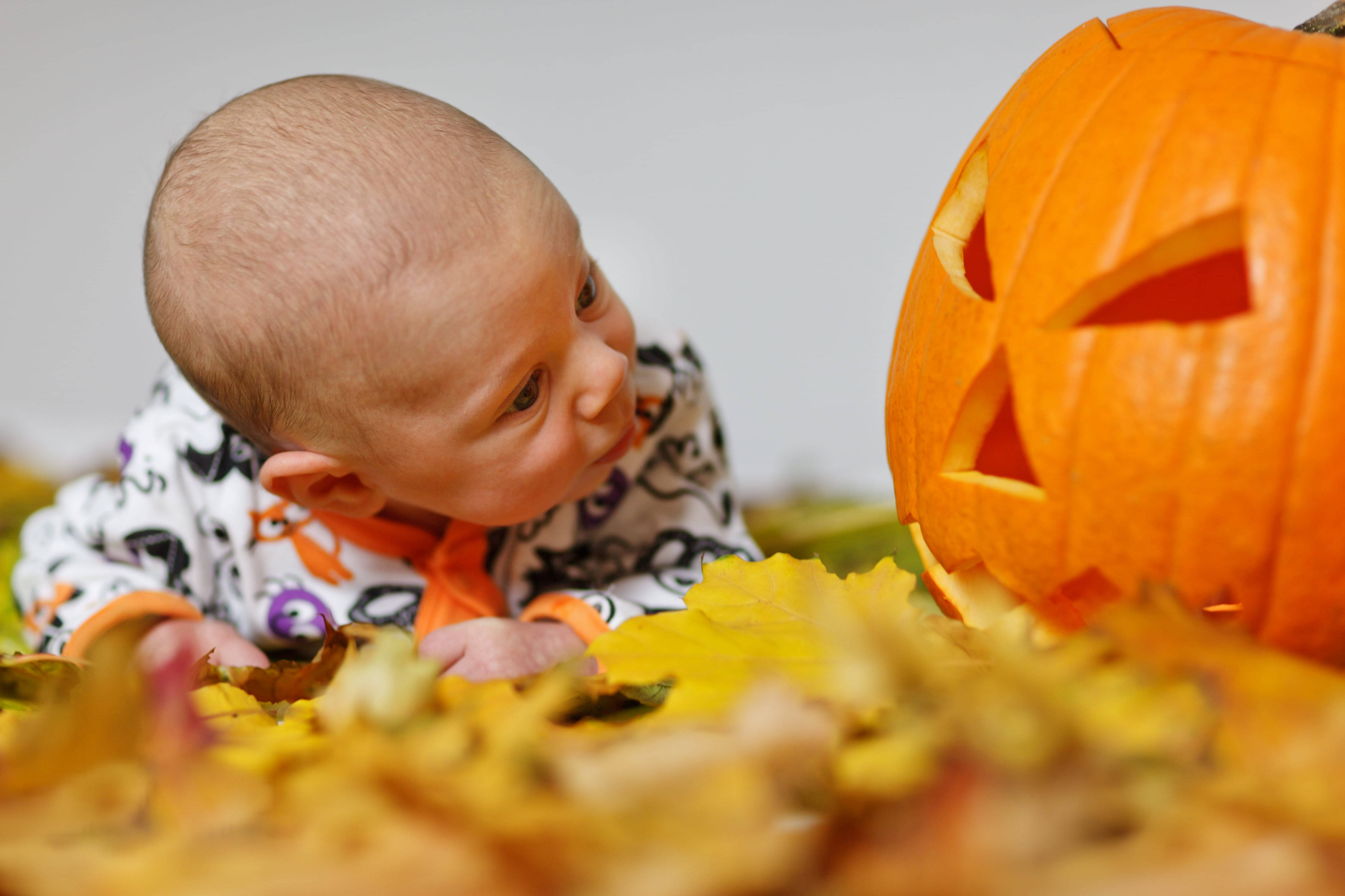 Oulike Halloween Baba Pampoen Kyk Muurpapier
