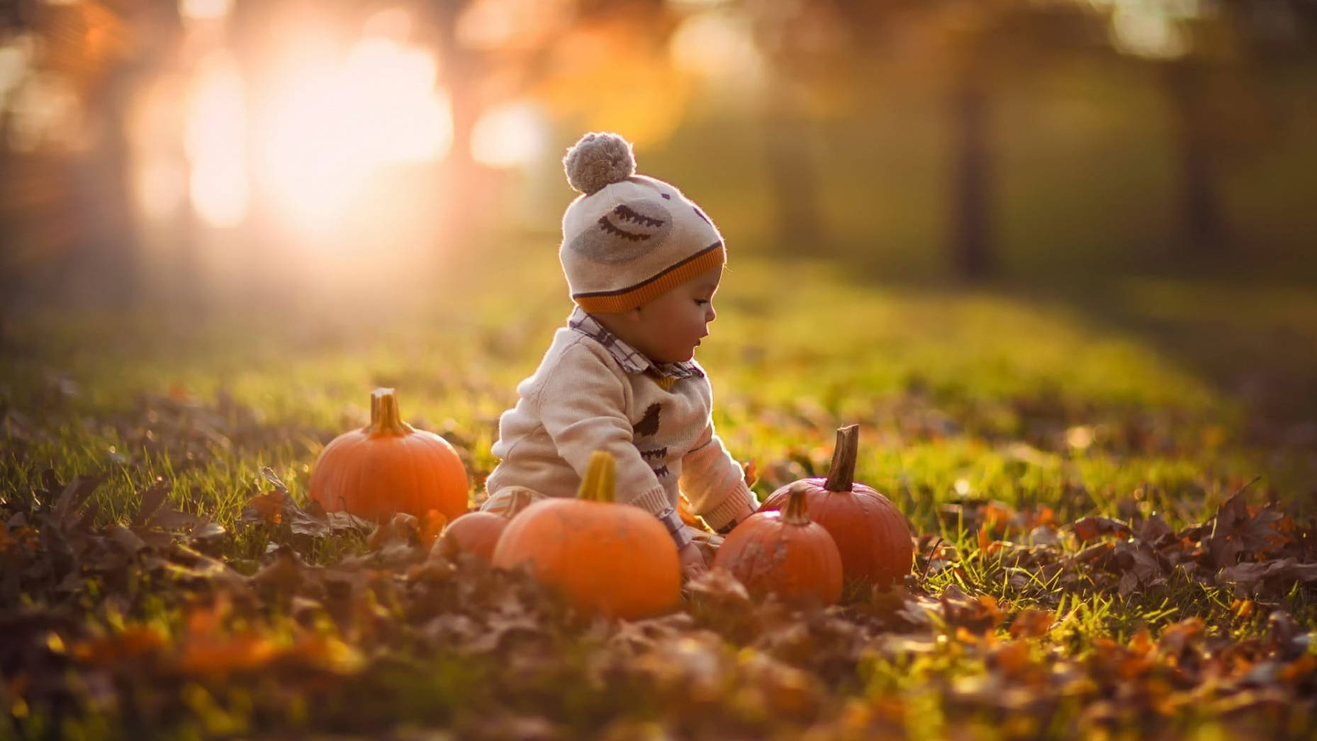 Oulike Halloween Baba in die Park Muurpapier