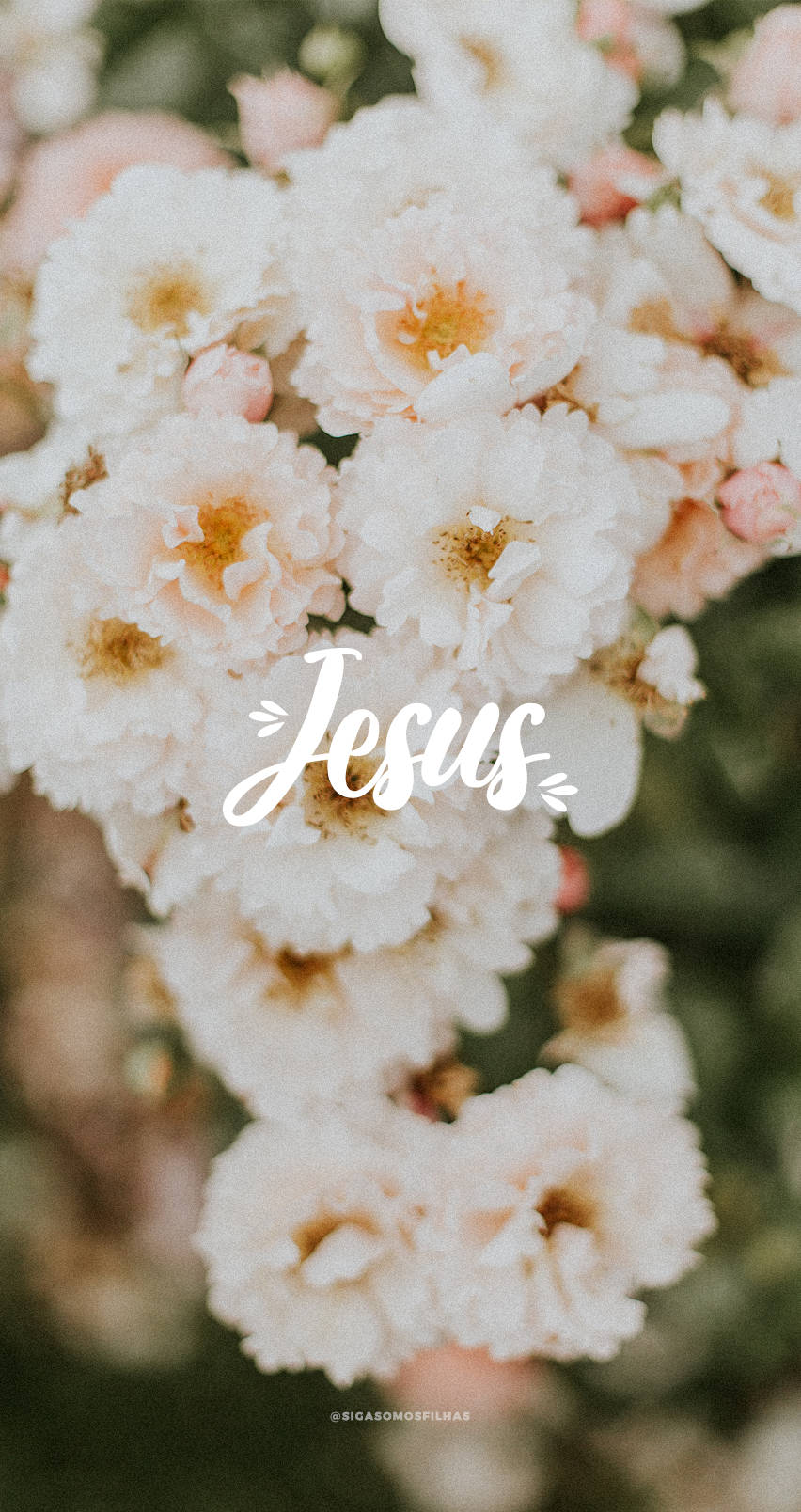 Oulike Jesus Musk Rose Muurpapier