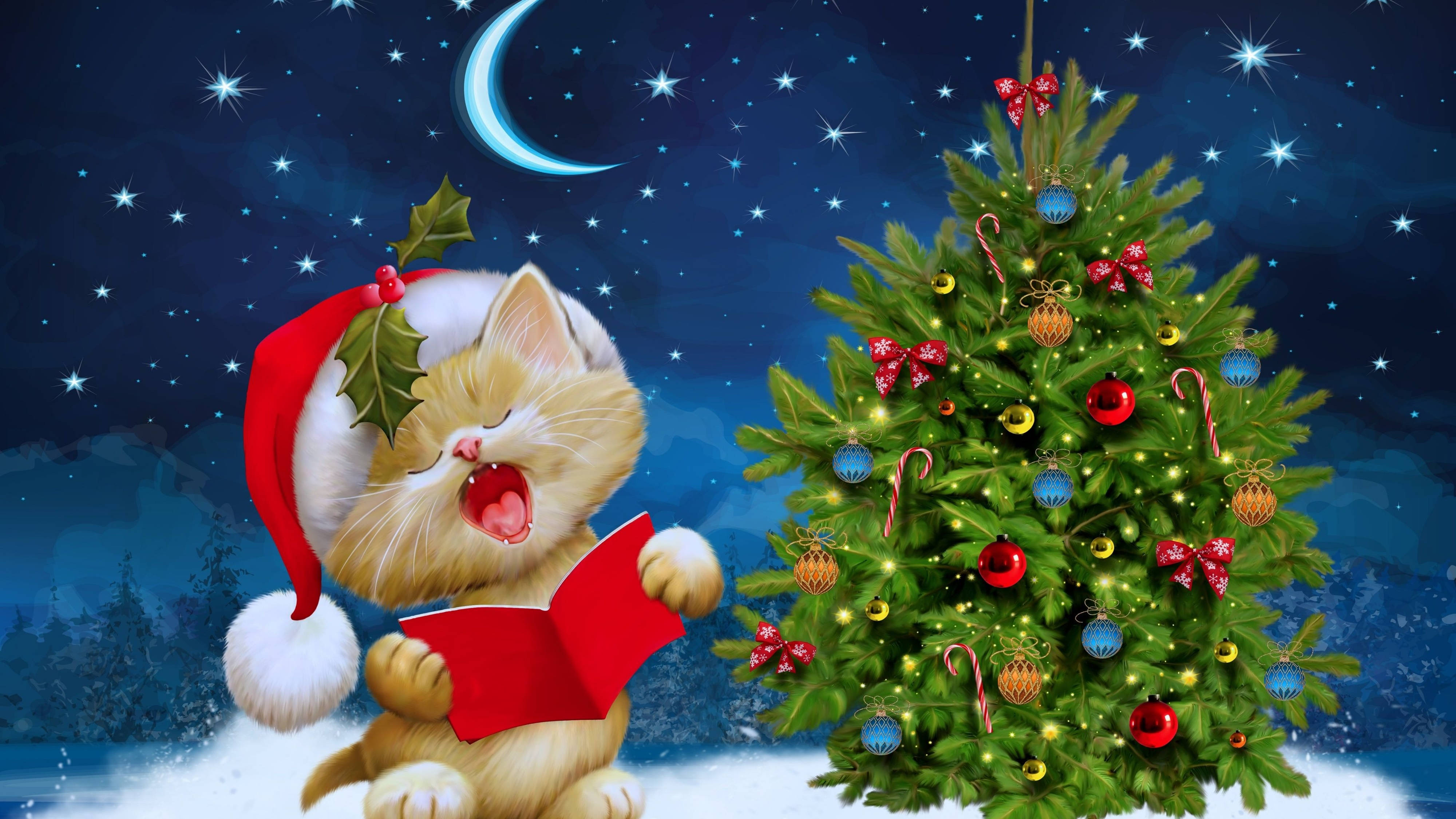 Oulike katjie in 'n feestelike Kersvaderhoed wat Kersfees in 4K Ultra HD vier. Muurpapier