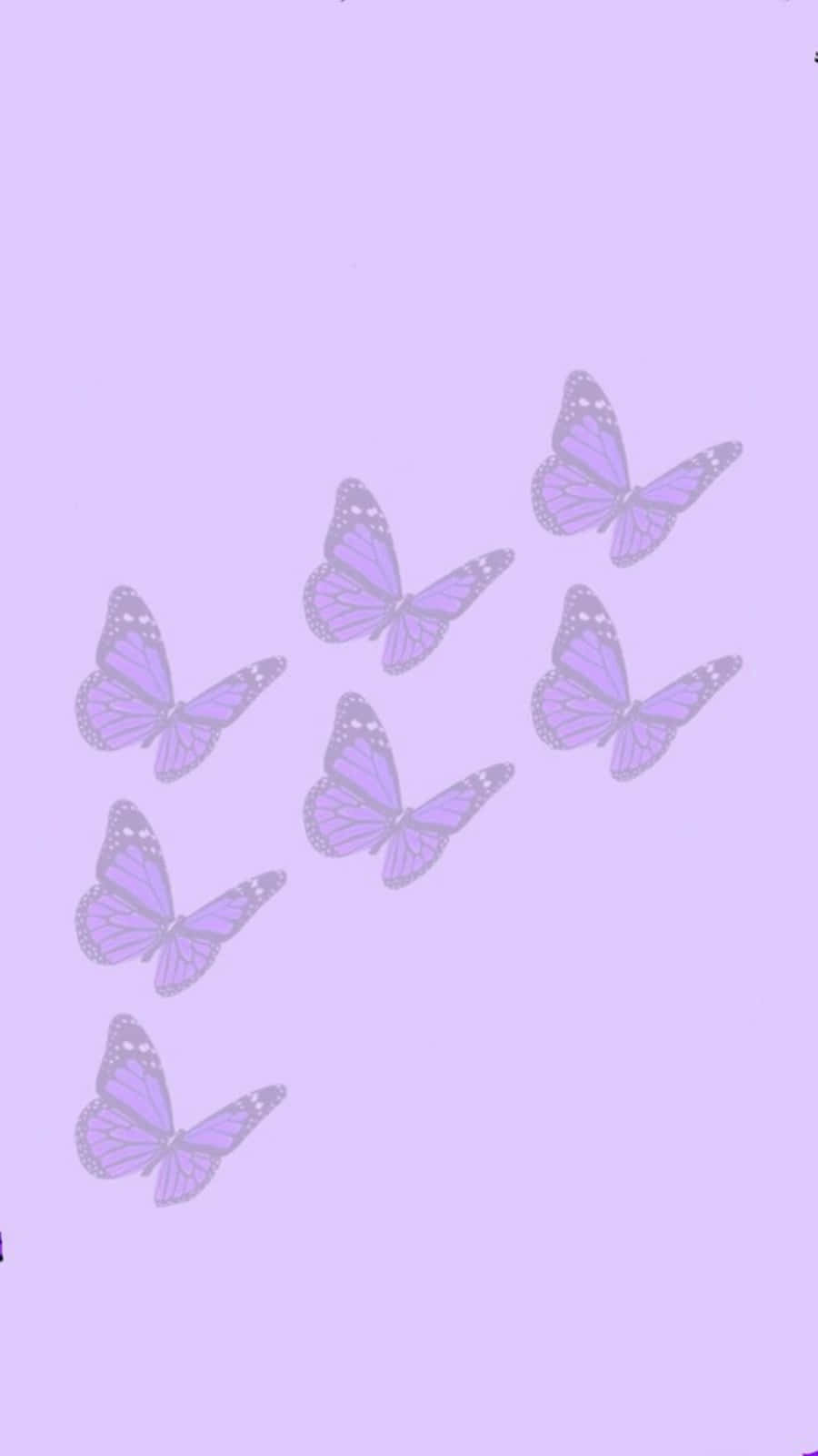Oulike ligperspreeu vlinders Muurpapier