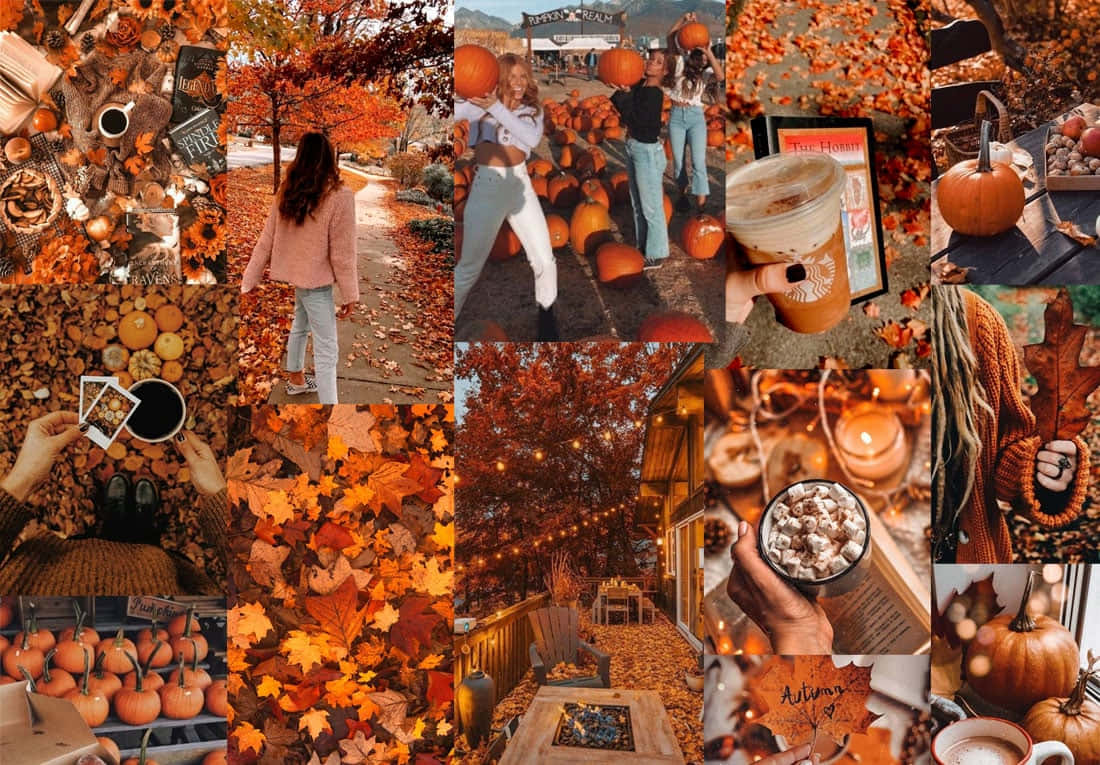 Oulike Oranje Herfs-estetika Muurpapier