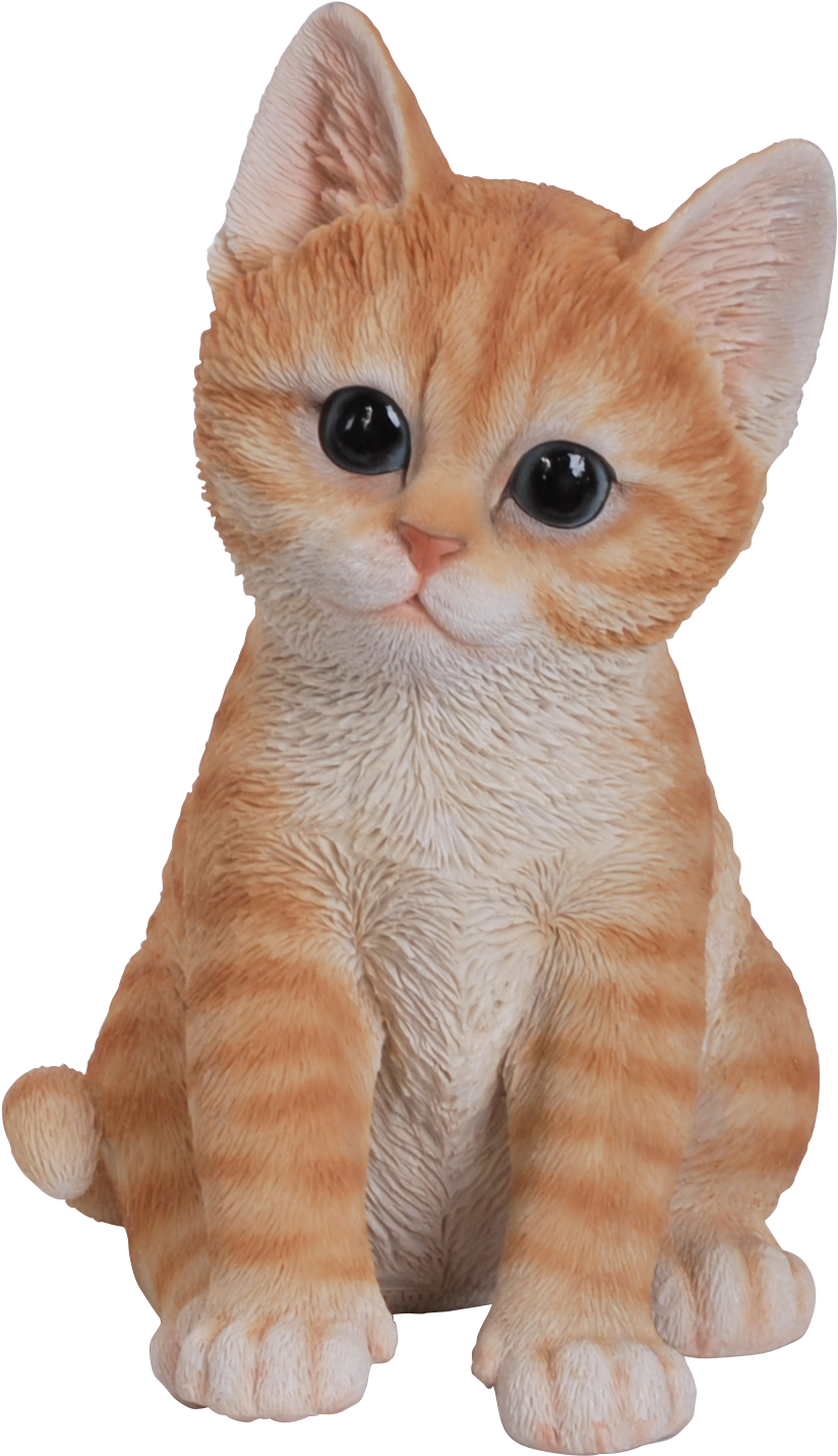 Oulike Oranje Katjie Plush Muurpapier