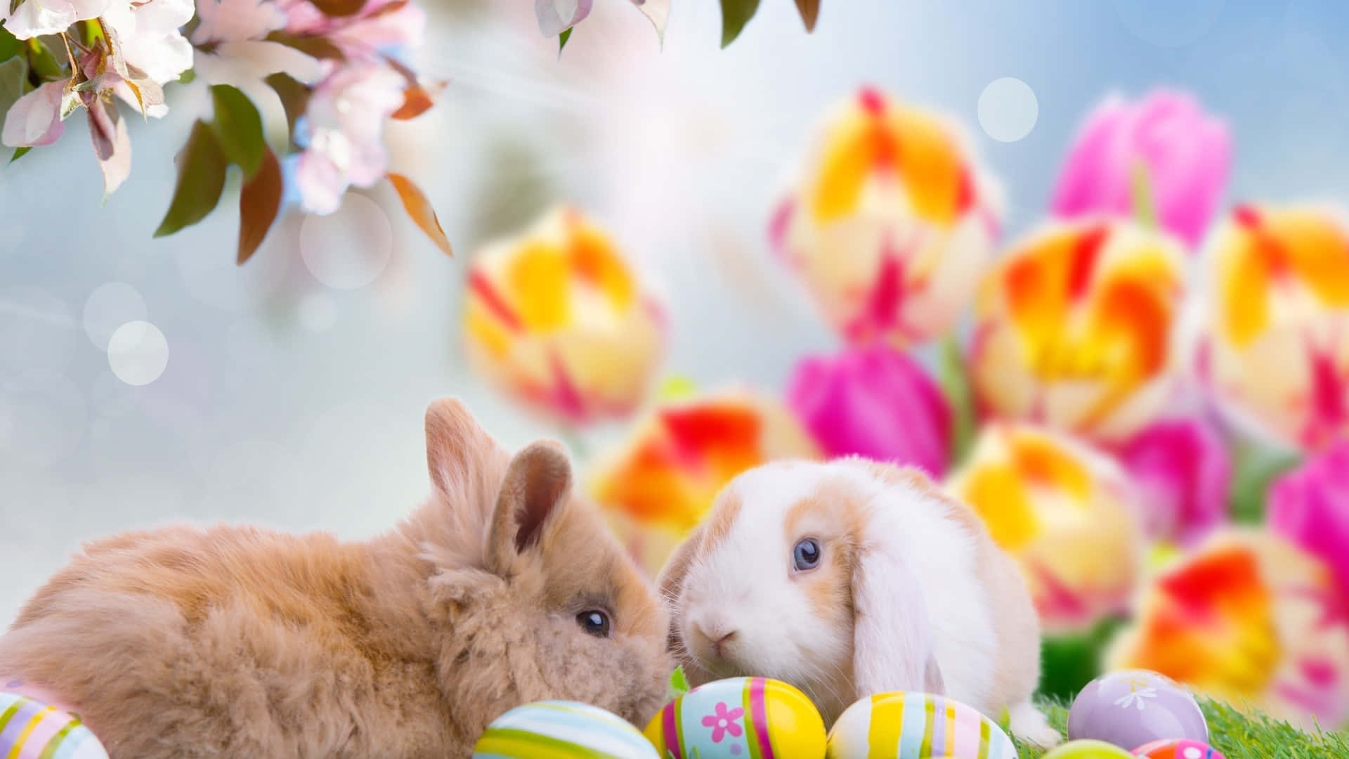 Oulike Paashaasies en Kleurvolle Eiers op 'n Lewendige Lente-agtergrond Muurpapier
