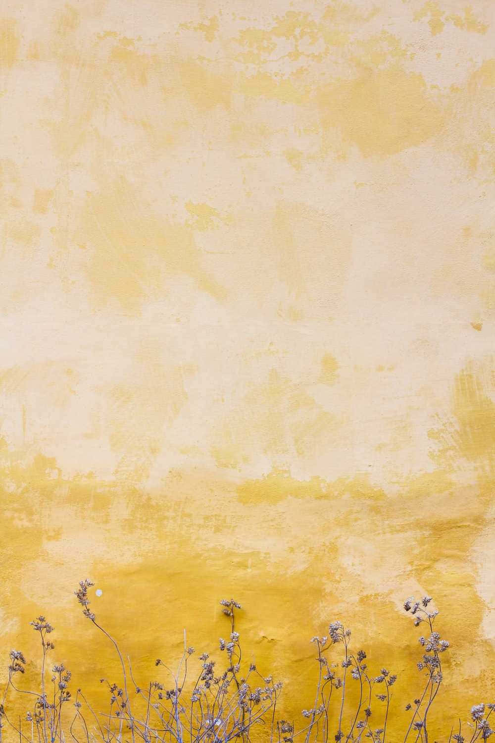 Oulike Pastel Geel Vervaagde Muur Muurpapier