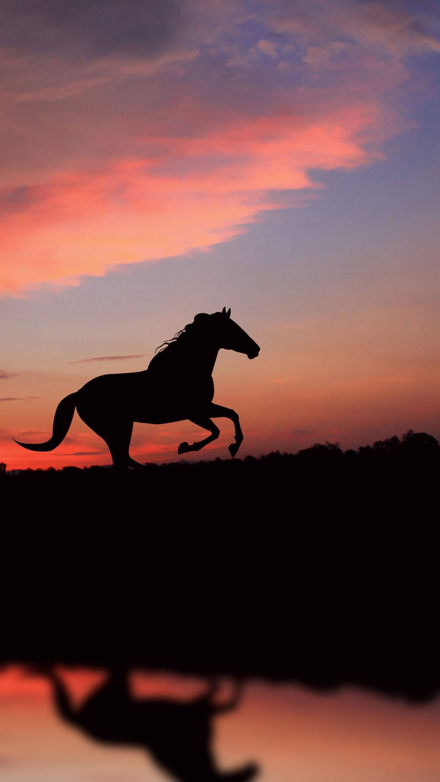 Oulike Perd wat langs die Rivier Hardloop Muurpapier