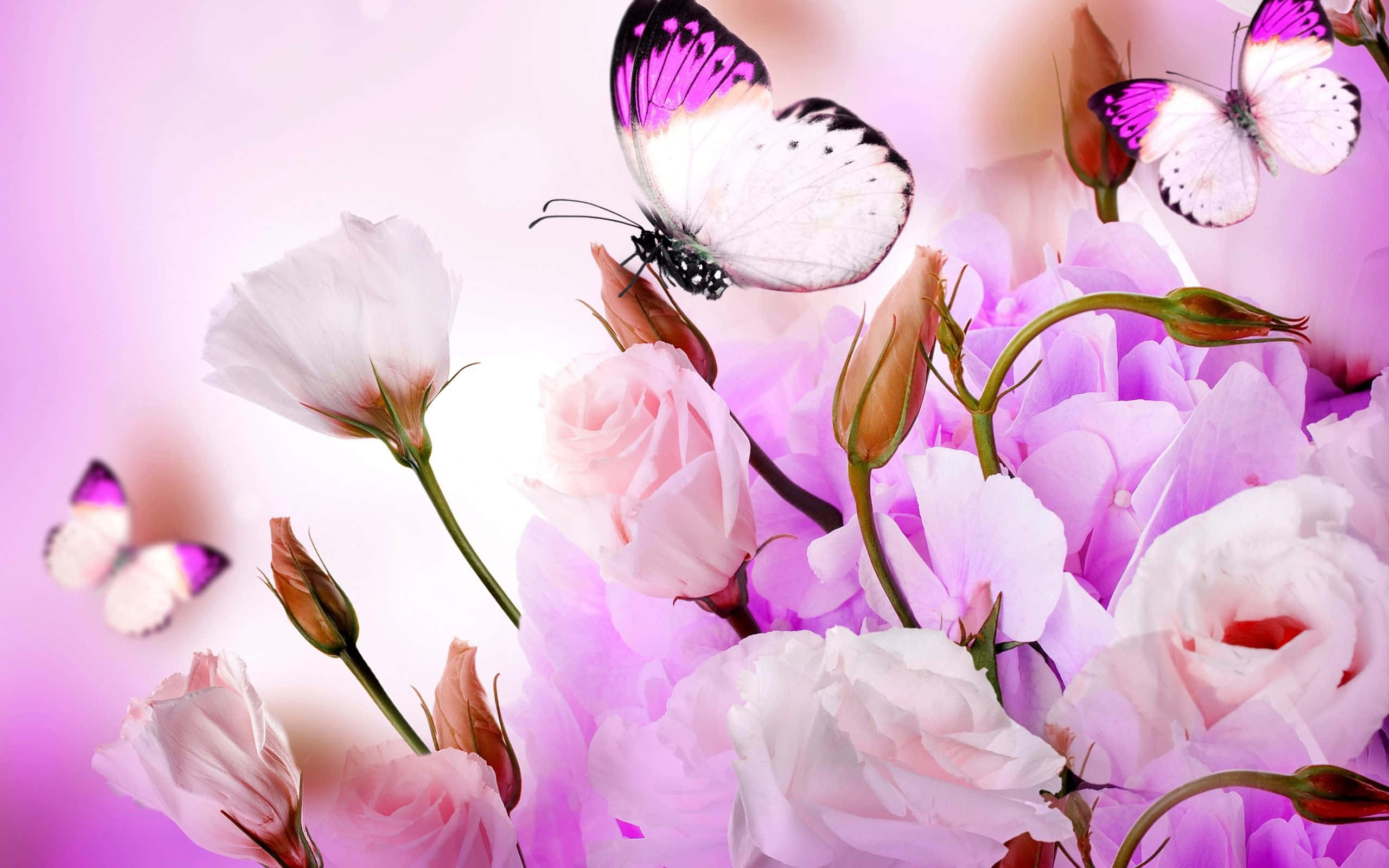 Oulike Pers Blomme en Skoenlappers HD Muurpapier