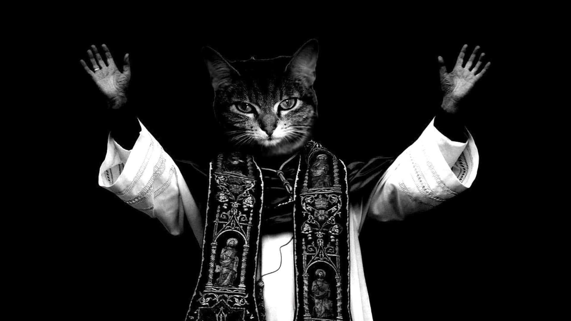 Oulike Snaakse Kat Heilige Priester Lig Hande Foto's Muurpapier