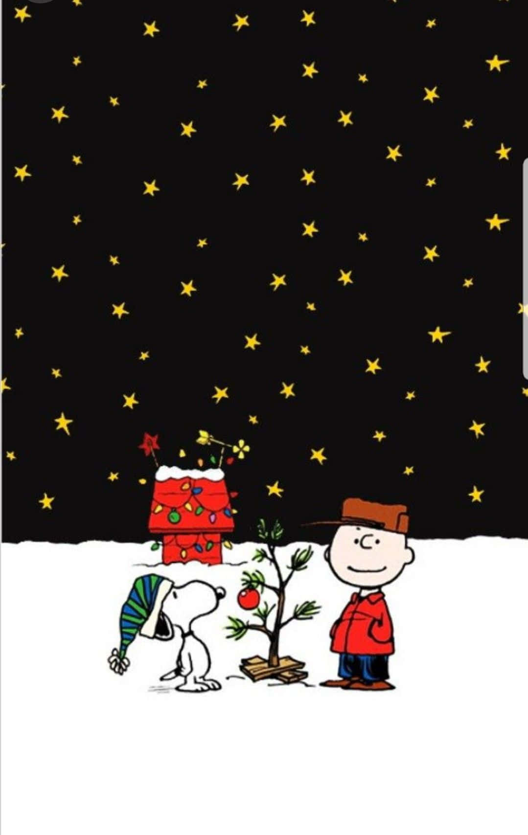 Oulike Snoopy Kersfees Donker Aand met Sterre Muurpapier