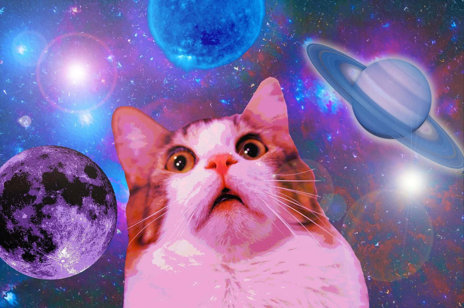 Oulike Snorkende Kat Geskokte Gesig Heelal Agtergrond Prente Muurpapier