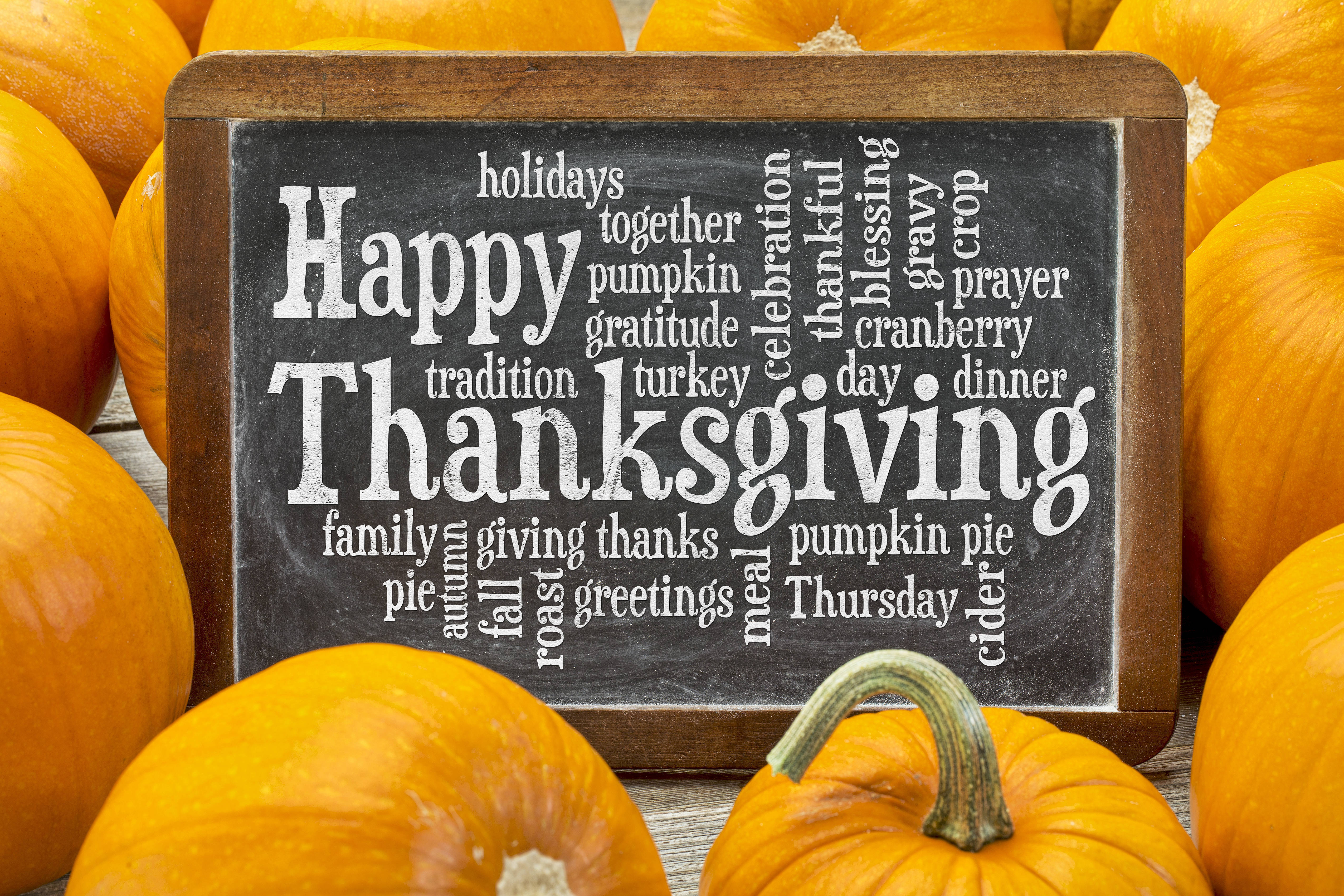 Oulike Thanksgiving 3D Pampoen Muurpapier