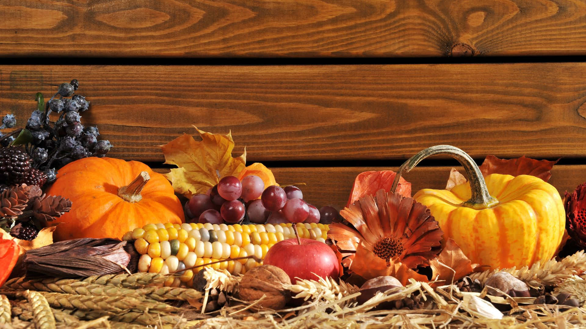 Oulike Thanksgiving-agtergrond Muurpapier