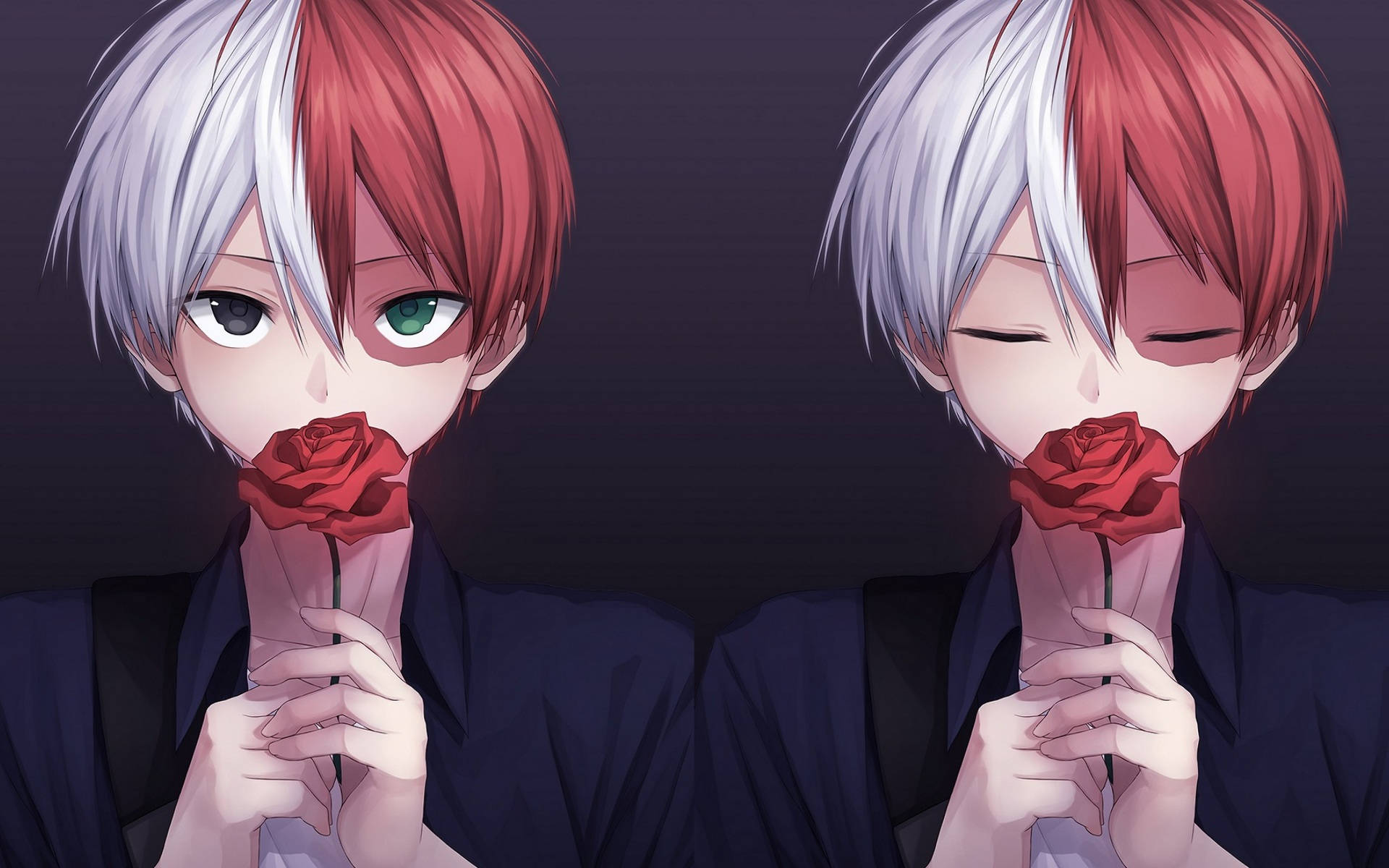 Oulike Todoroki met Rooi Roos Muurpapier