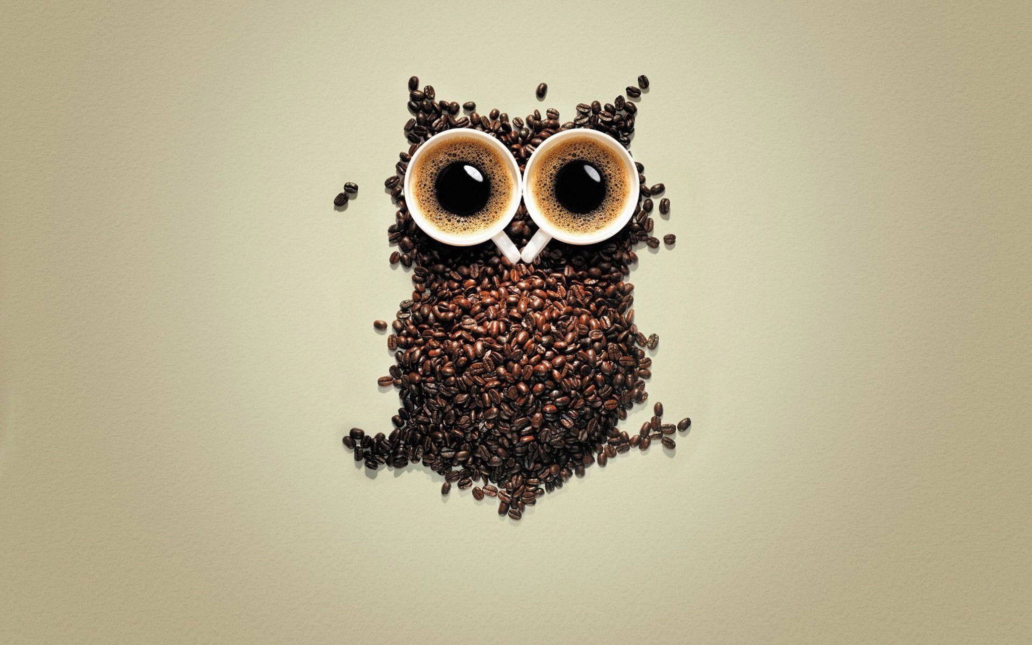 Oulike Uil Koffie Kuns Muurpapier