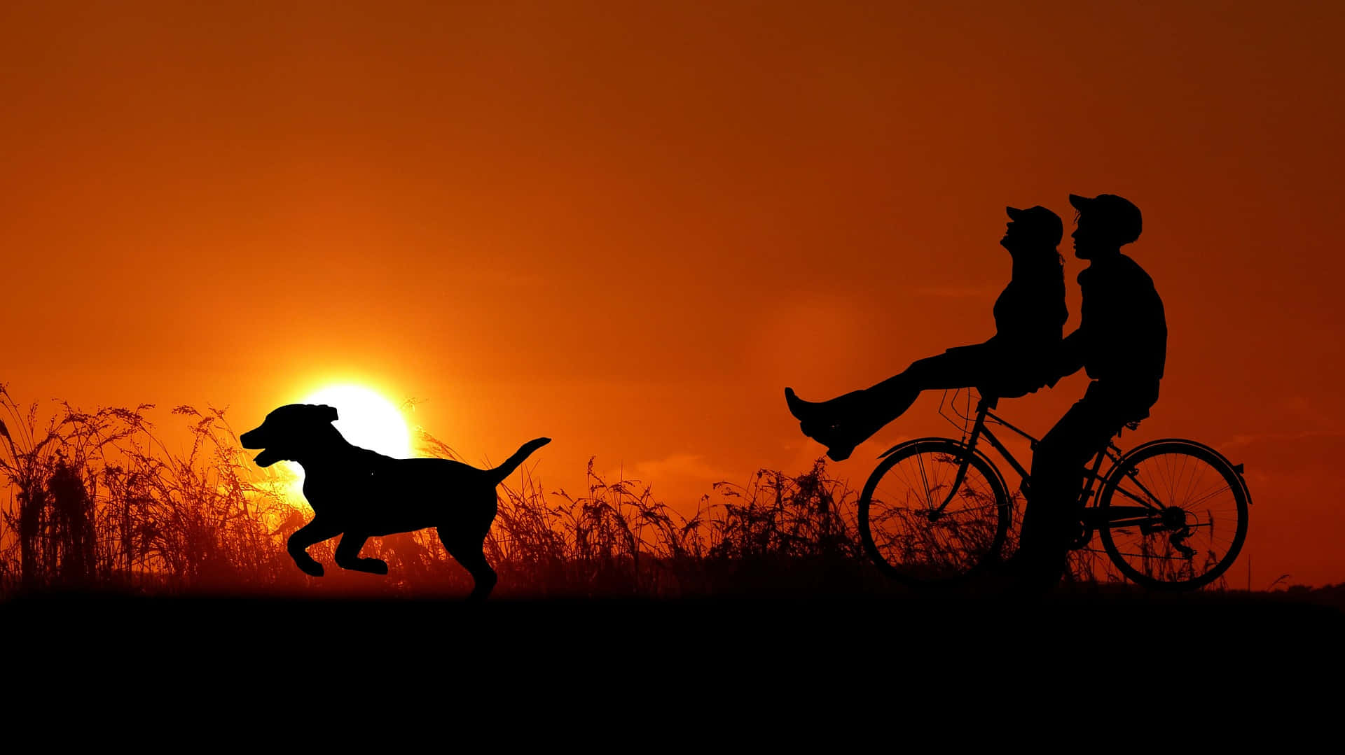 Paar Fietsry met Hond Verhoudingsfoto Muurpapier