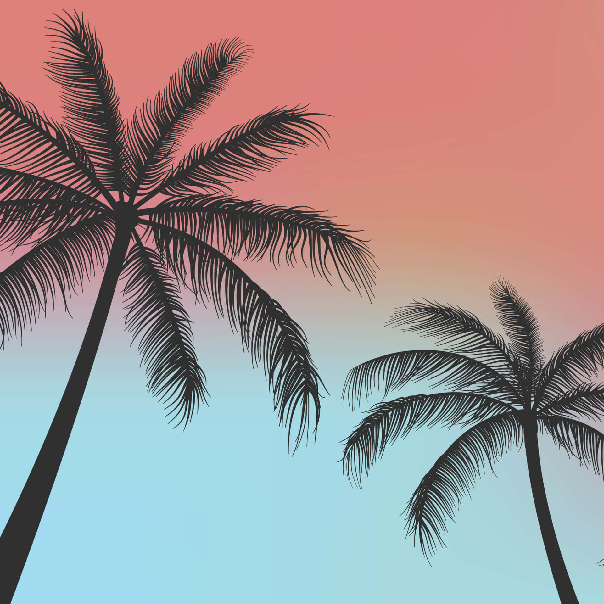 Palmbome Agtergrond Muurpapier