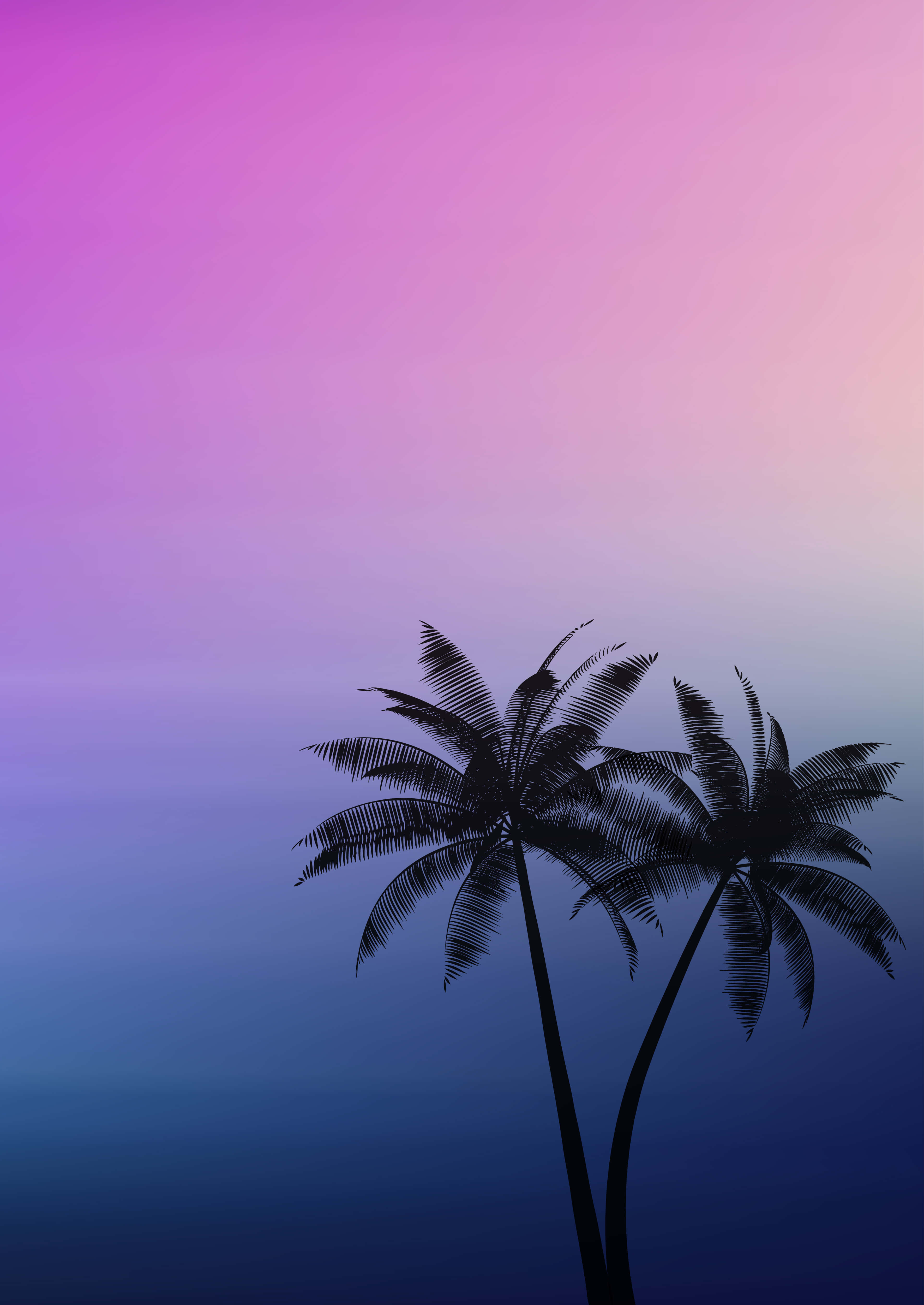 Palmbome Agtergrond Muurpapier