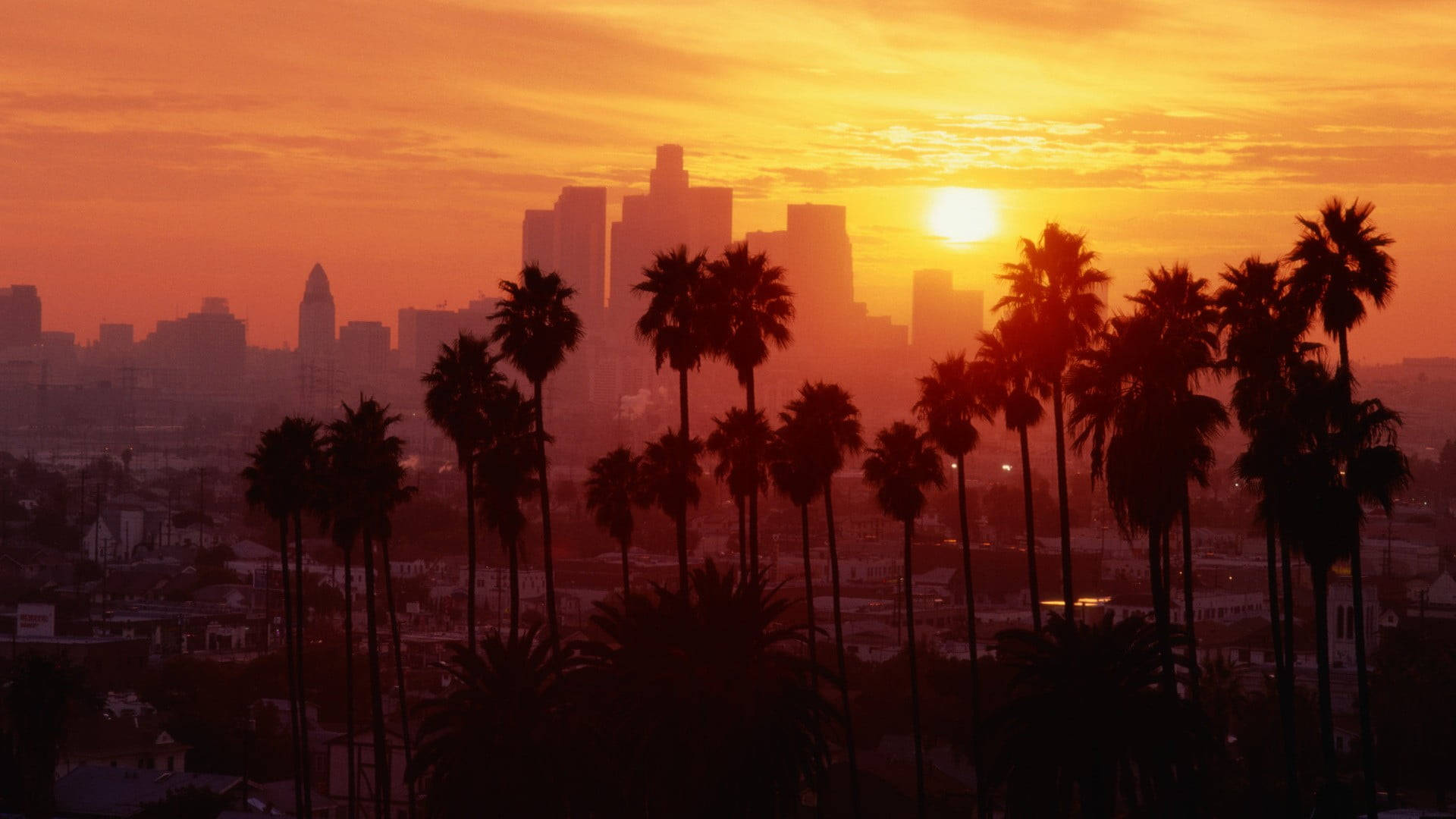 Palmboom Sonsondergang Boulevard Los Angeles Muurpapier