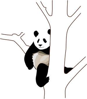 Panda loer agter boom uit Muurpapier