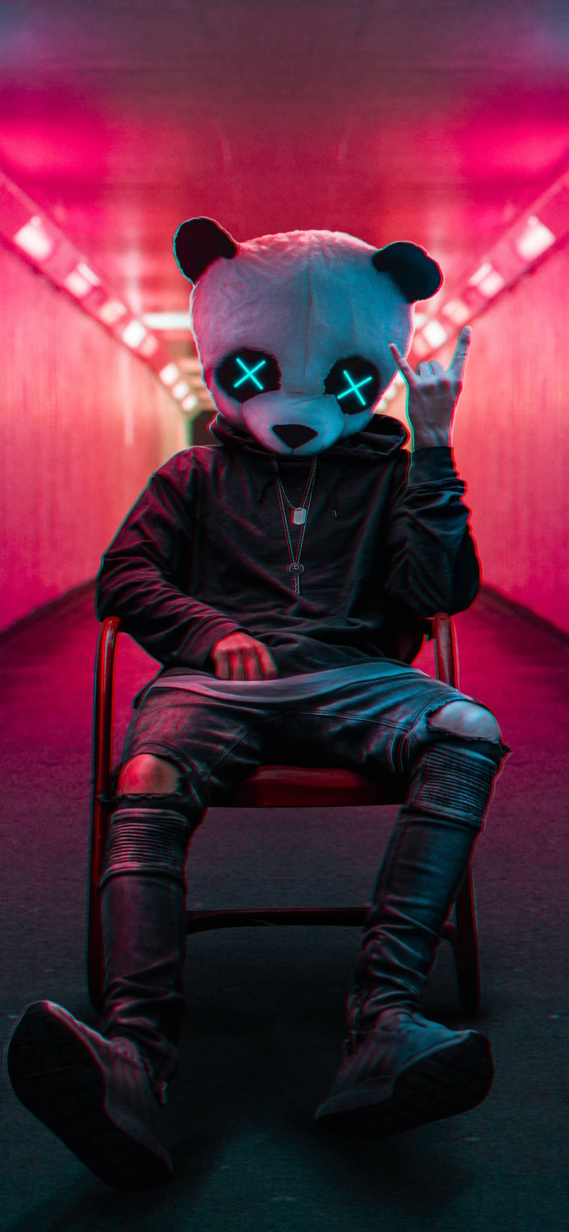 Panda-seun iPhone 11 Pro Max Muurpapier
