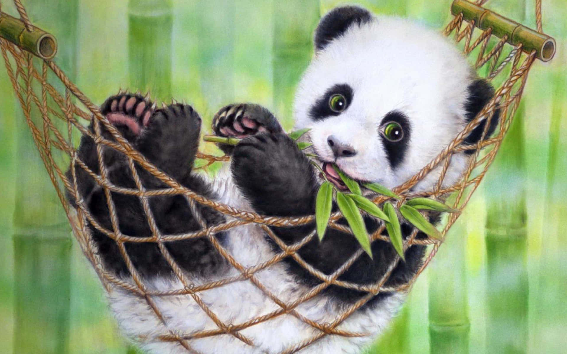 Panda-skootrekenaar