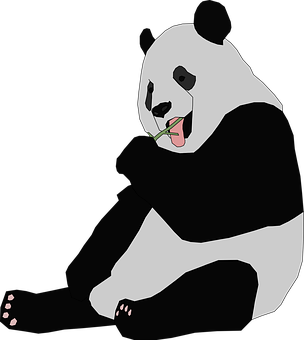 Panda wat Bamboes Eet Muurpapier