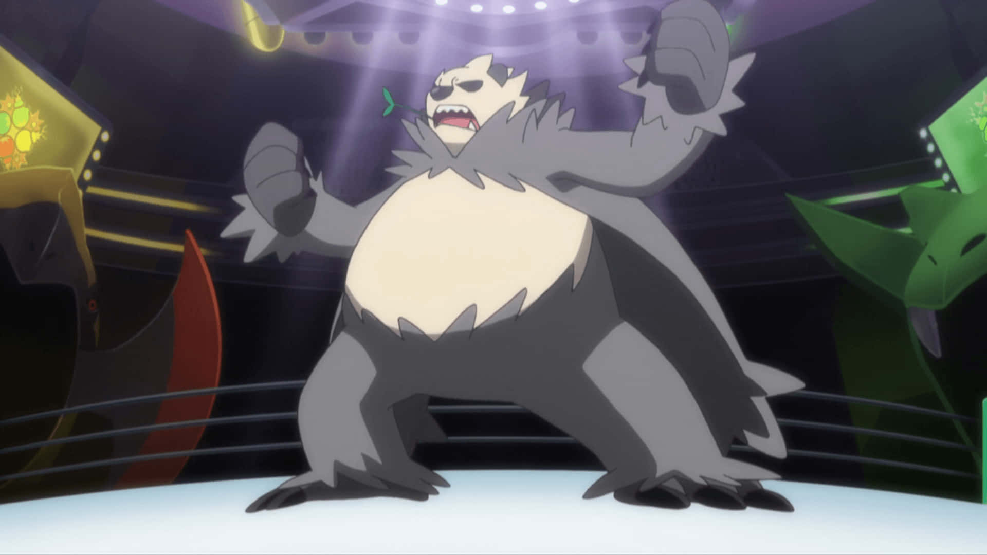Pangoro op 'n Gevegring Muurpapier