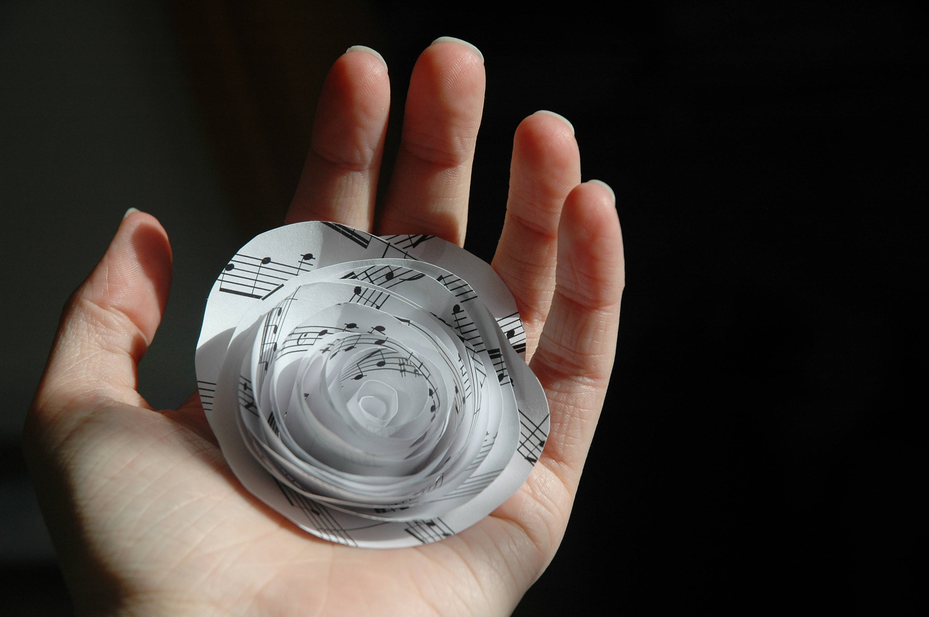 Papier Lotusblom Muurpapier