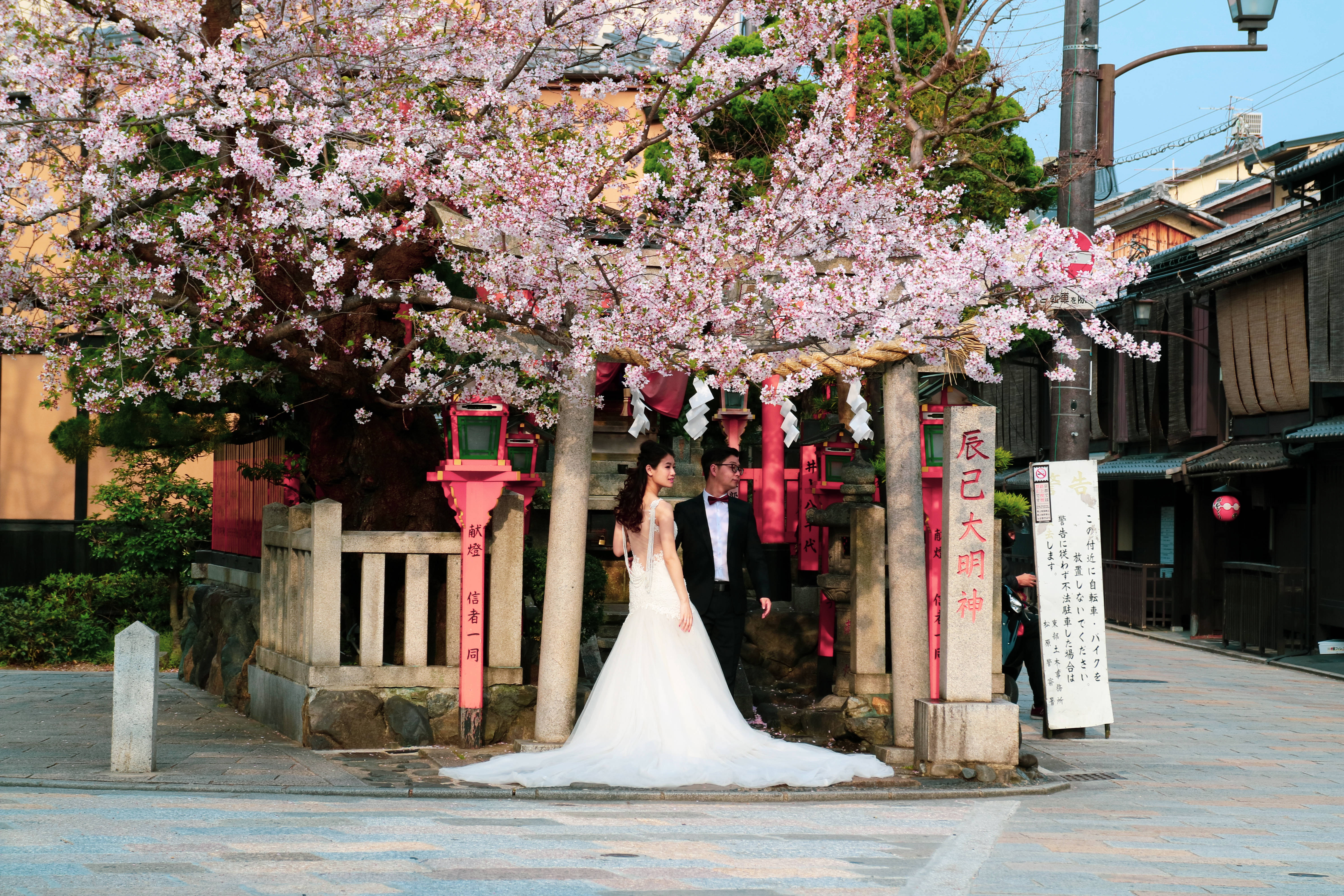 Pasgetroudes onder Japannese Sakura Muurpapier