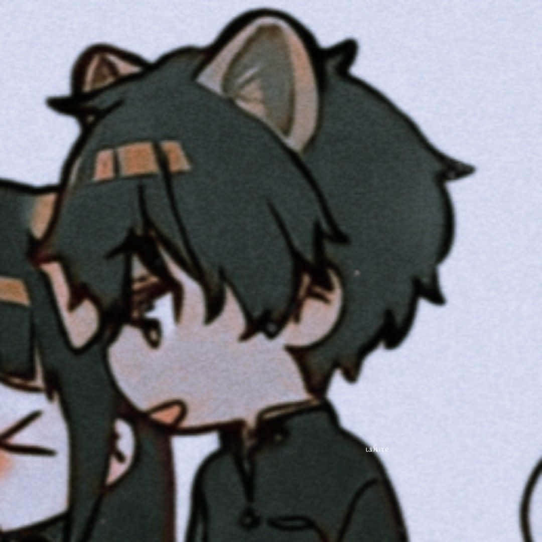 Passende paartjie profielfoto anime kat seun Muurpapier