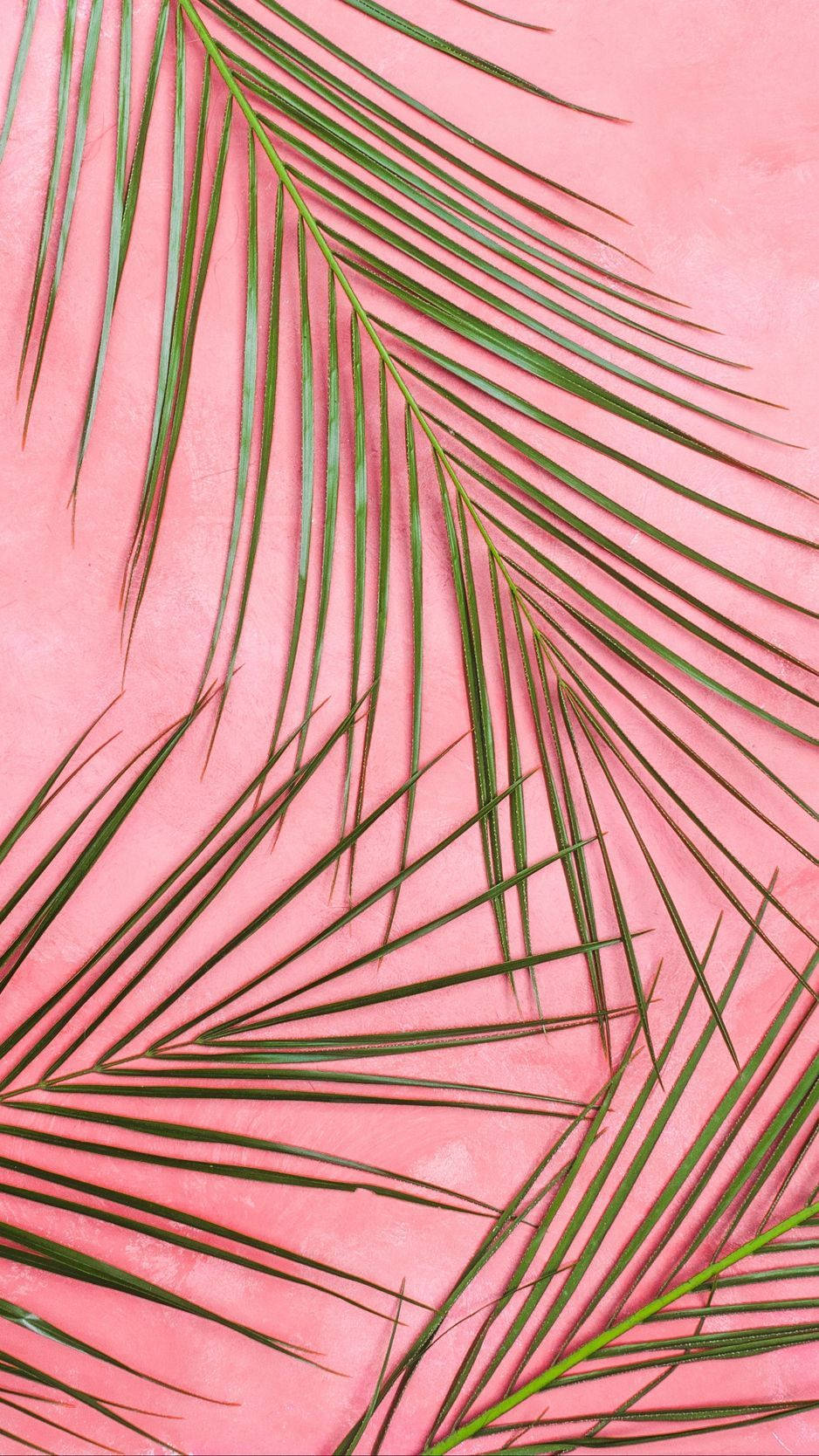 Pastel iPhone Pienk Groen Blare Muurpapier