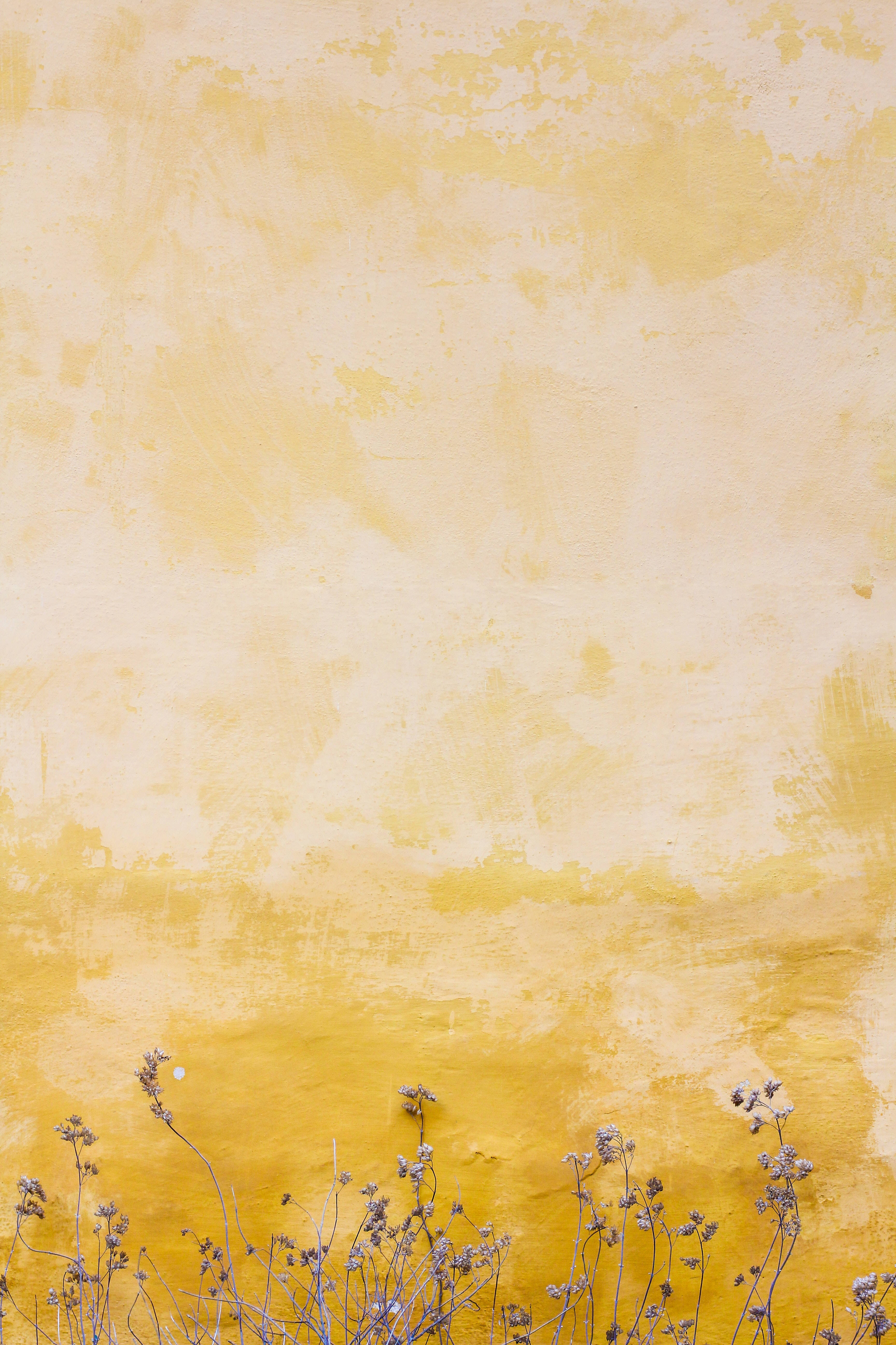 Pastel iPhonemosterdblomme Muurpapier