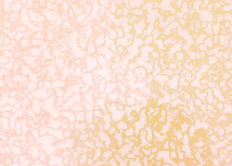 Pastel Marmer Geel Kolle Muurpapier