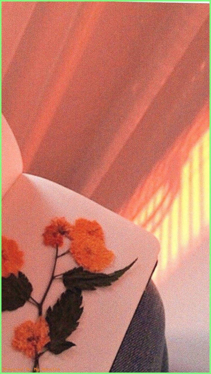 Pastel Oranje Estetiese Blomme Muurpapier