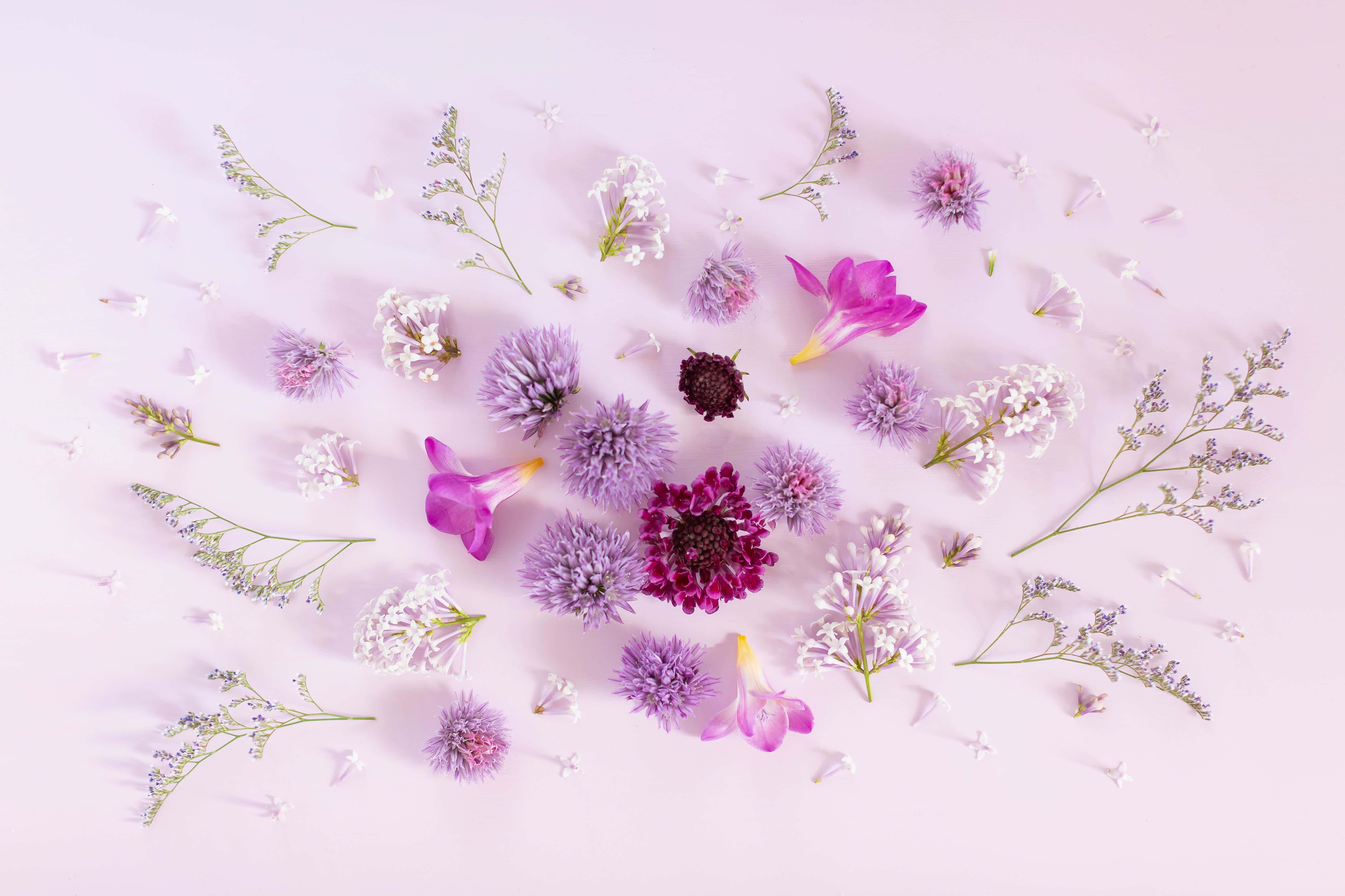 Pastel Pers Agtergrond Muurpapier