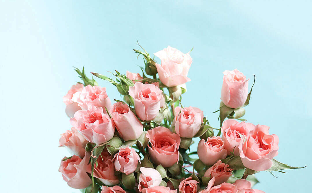 Pastel pienk estetiese ruiker blomme Muurpapier