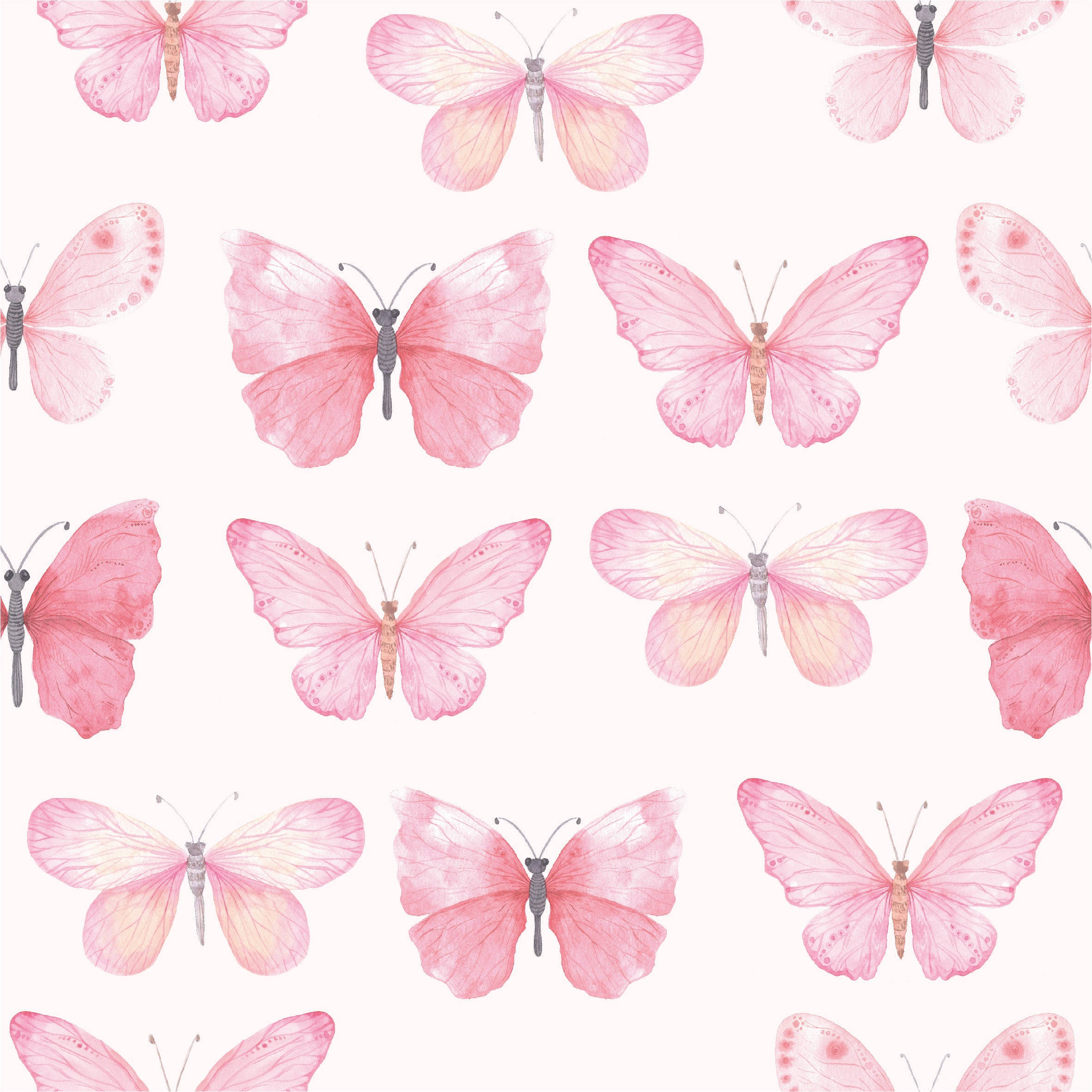 Pastel Skoenlappers in Skakerings van Pienk Muurpapier