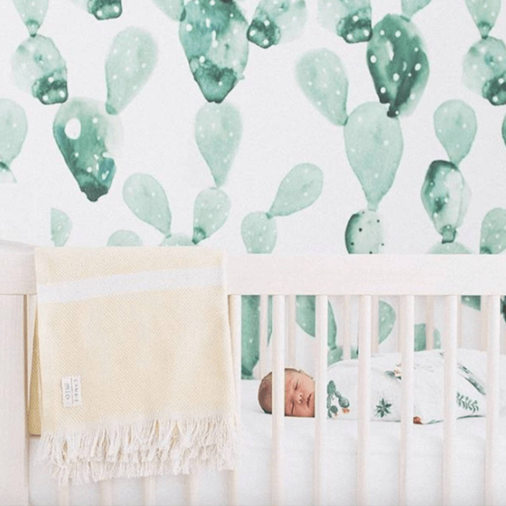Pastelgroen Kaktusse in 'n Kwekery Muurpapier