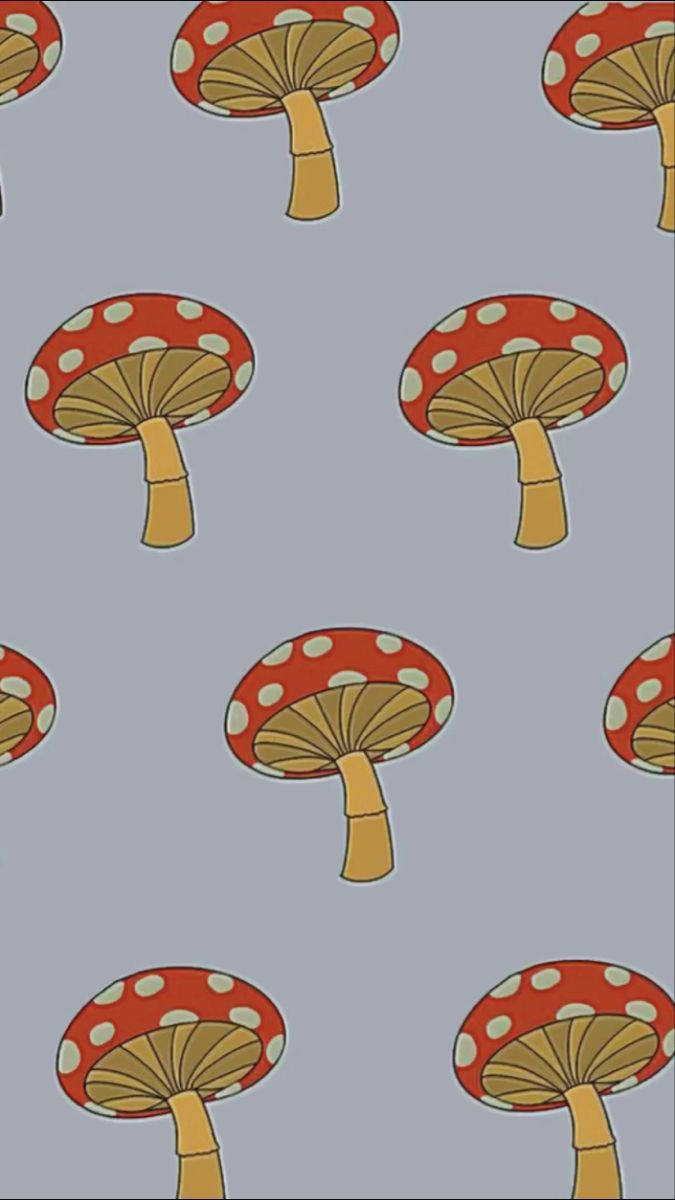 Patroon Sampioen Estetika Muurpapier